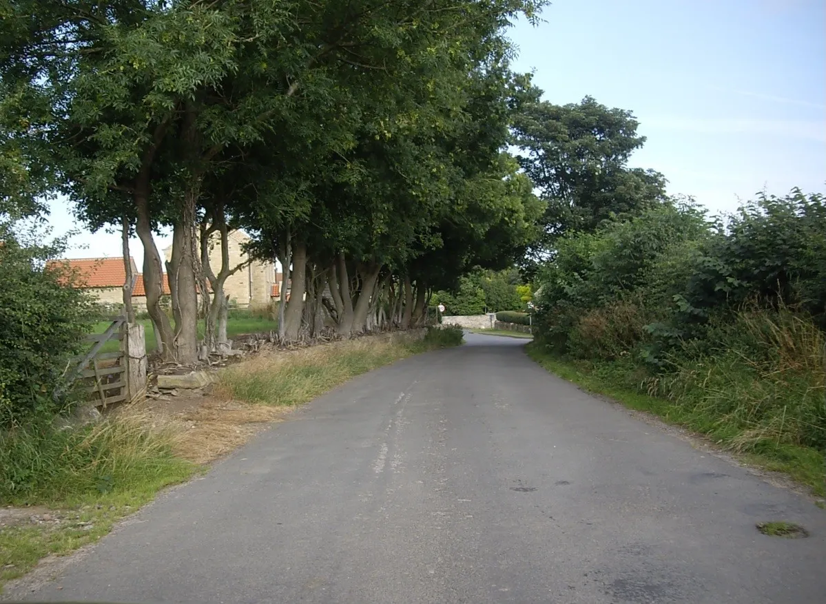 Photo showing: Approach to Aldbrough St John