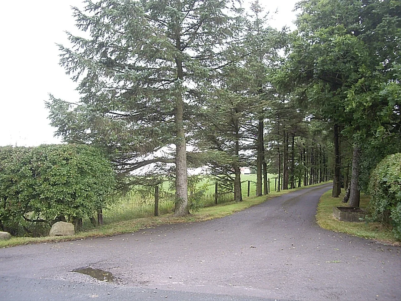 Photo showing: Access road to Harelands