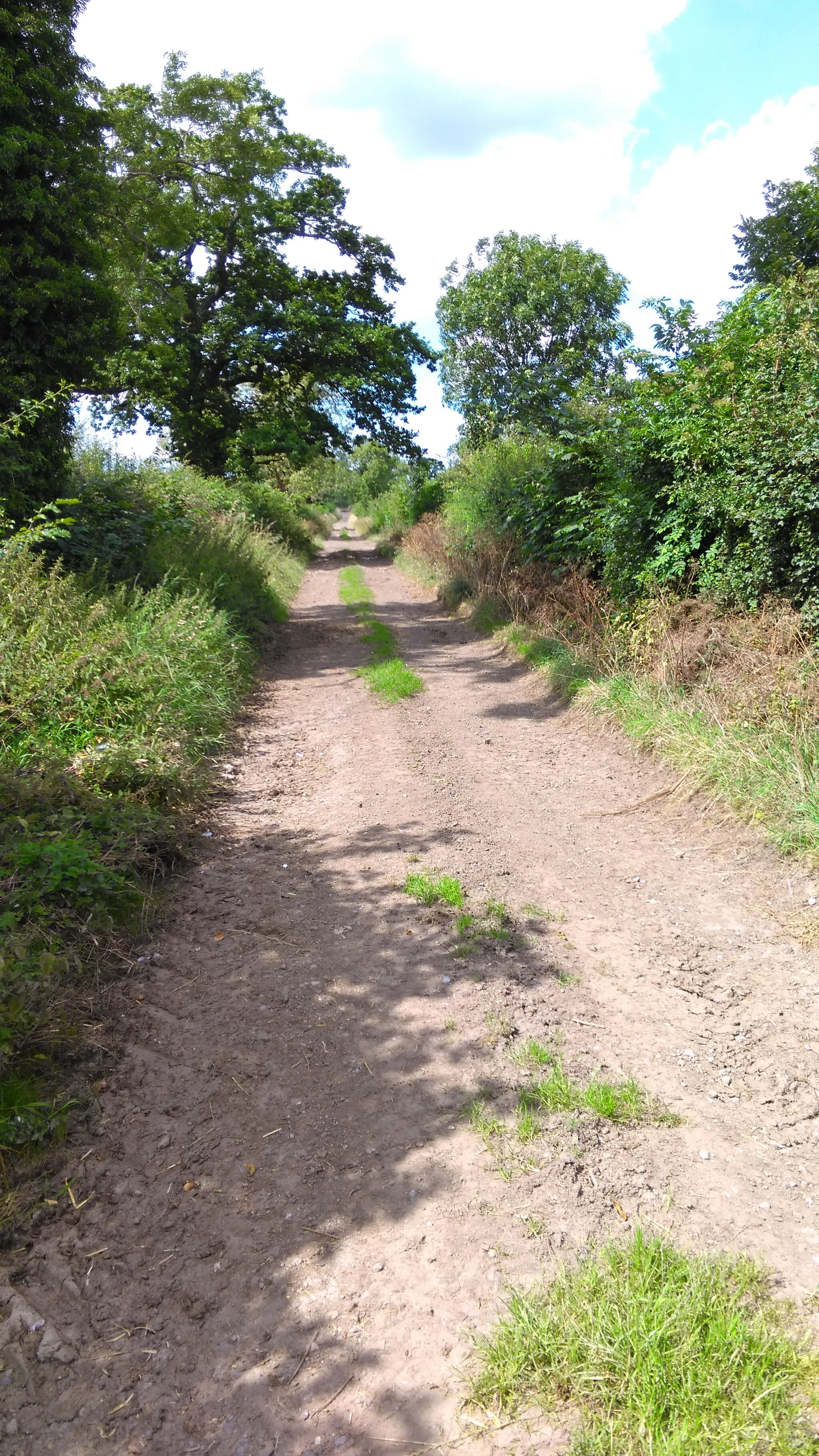 Photo showing: Back Lane, Carthorpe