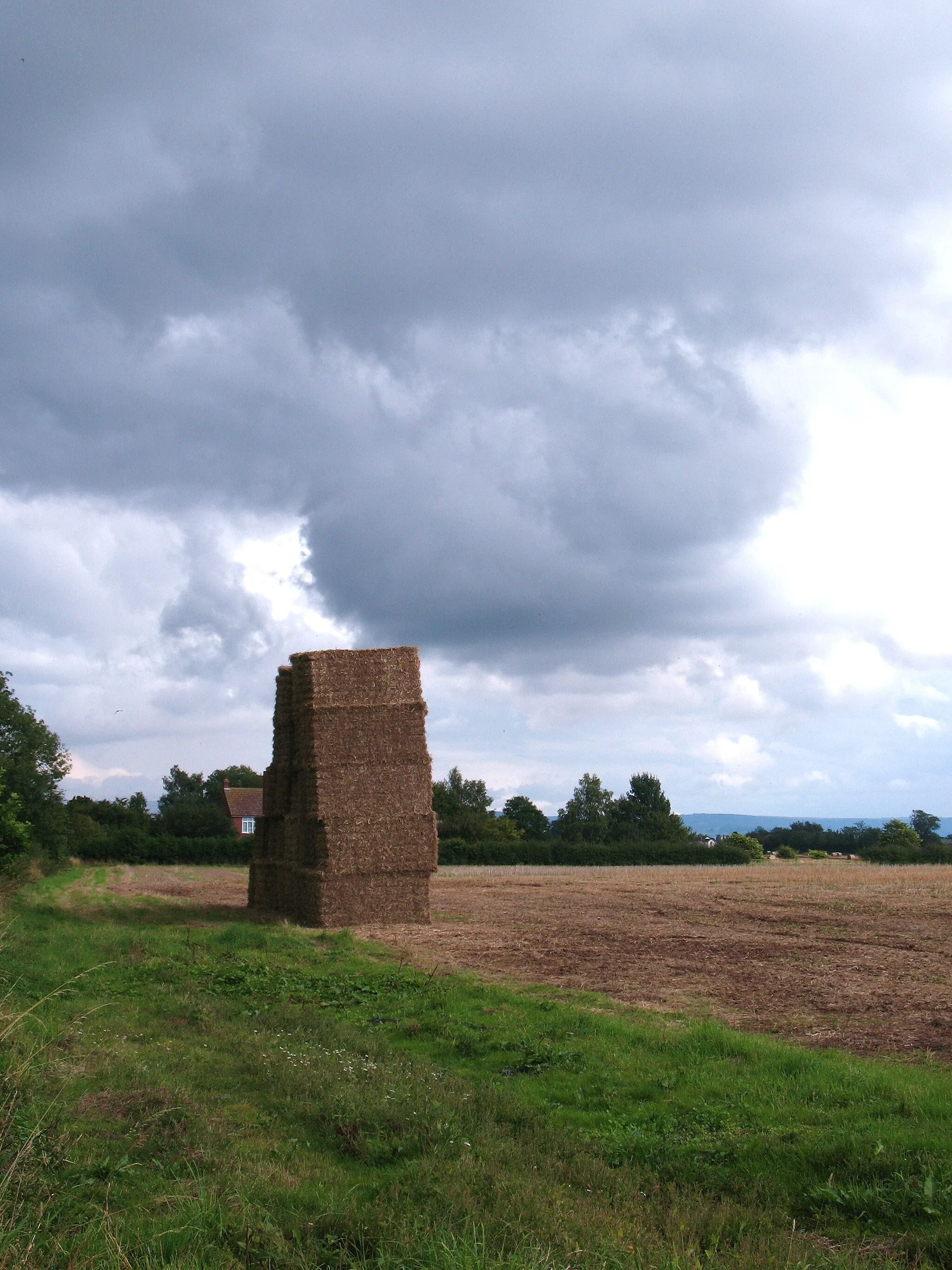 Photo showing: Farmland near Pickhill