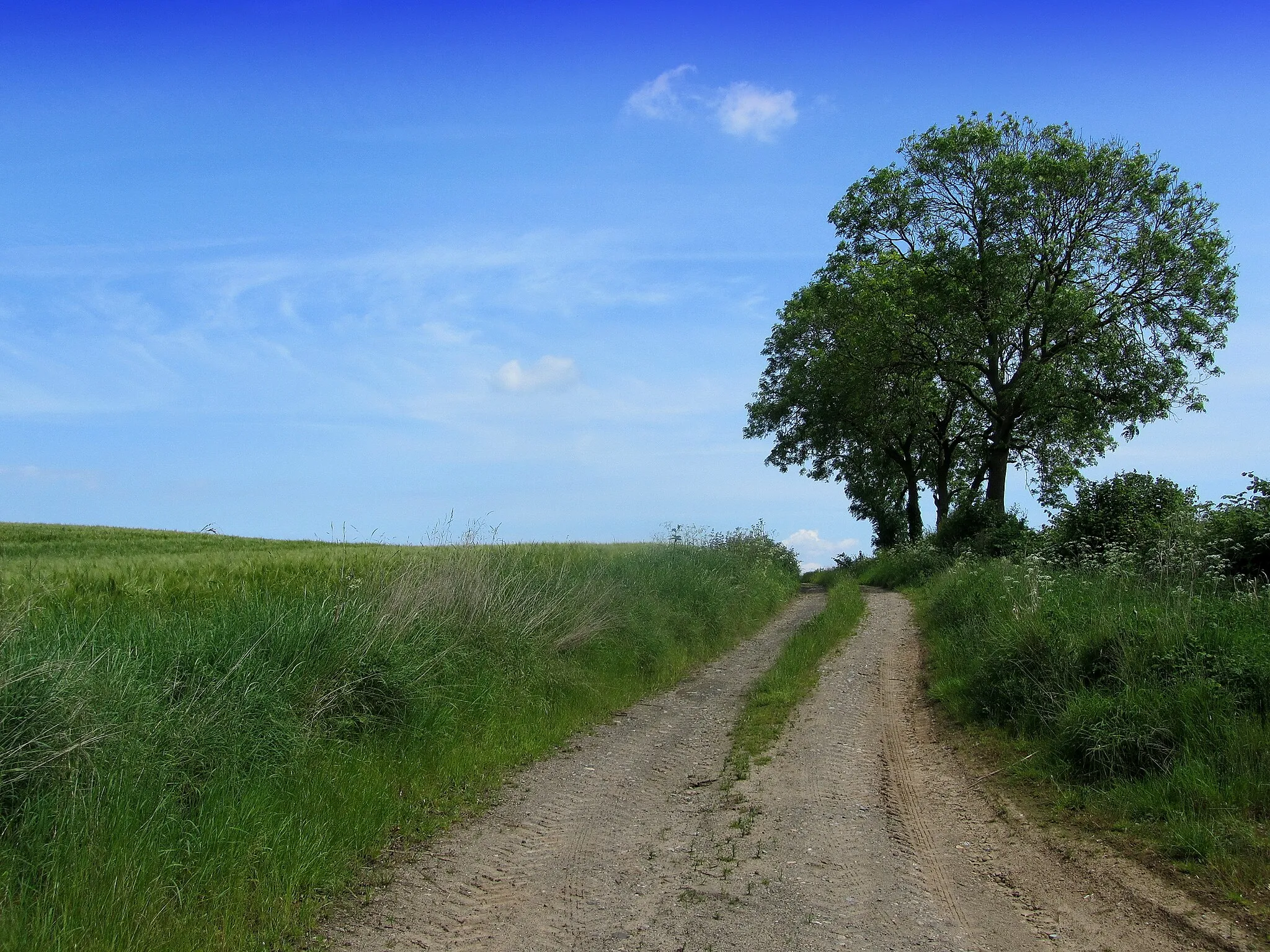 Photo showing: Farm Track above Norton Beck