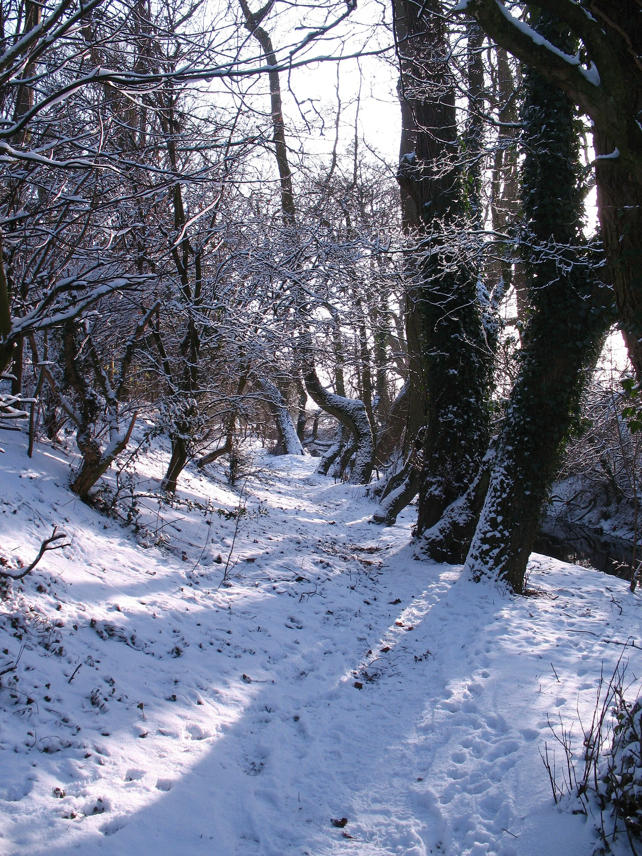 Photo showing: Beckside footpath