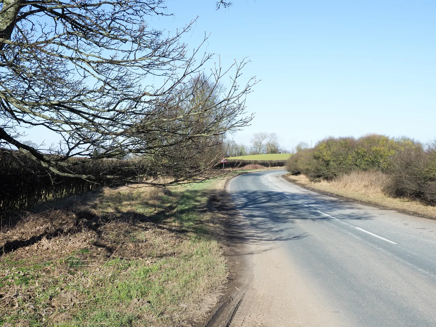 Photo showing: A167 approaching Asenby