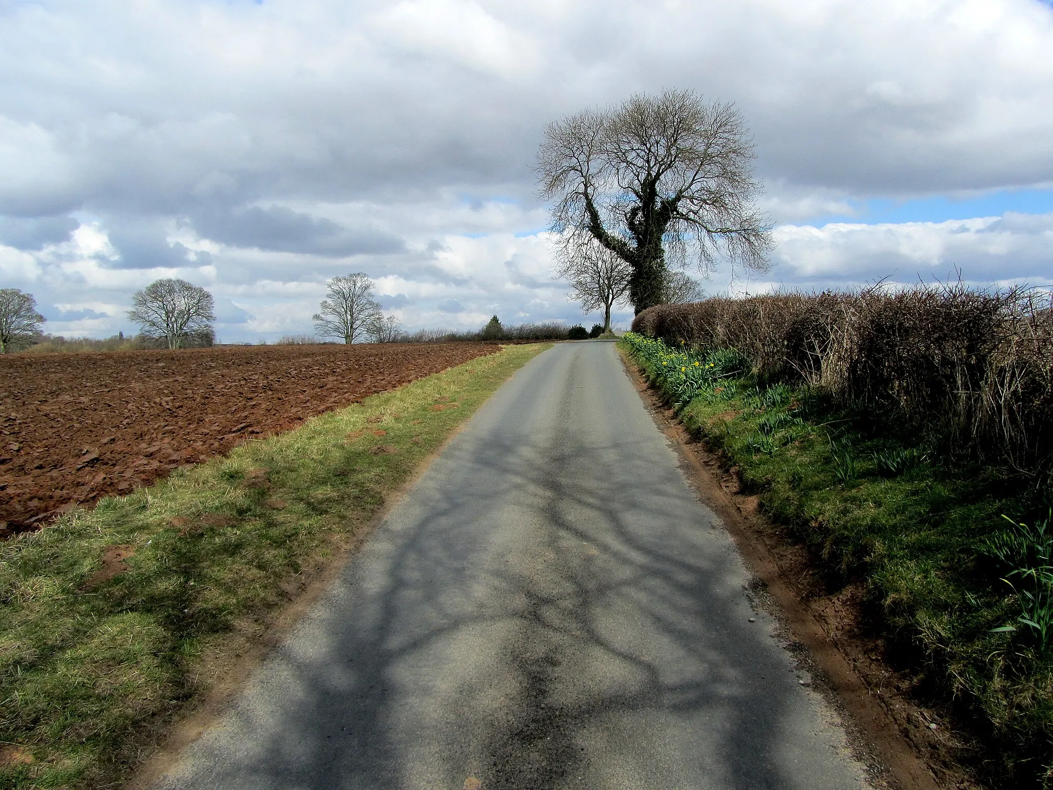 Photo showing: Access Lane heading to Red House Farm