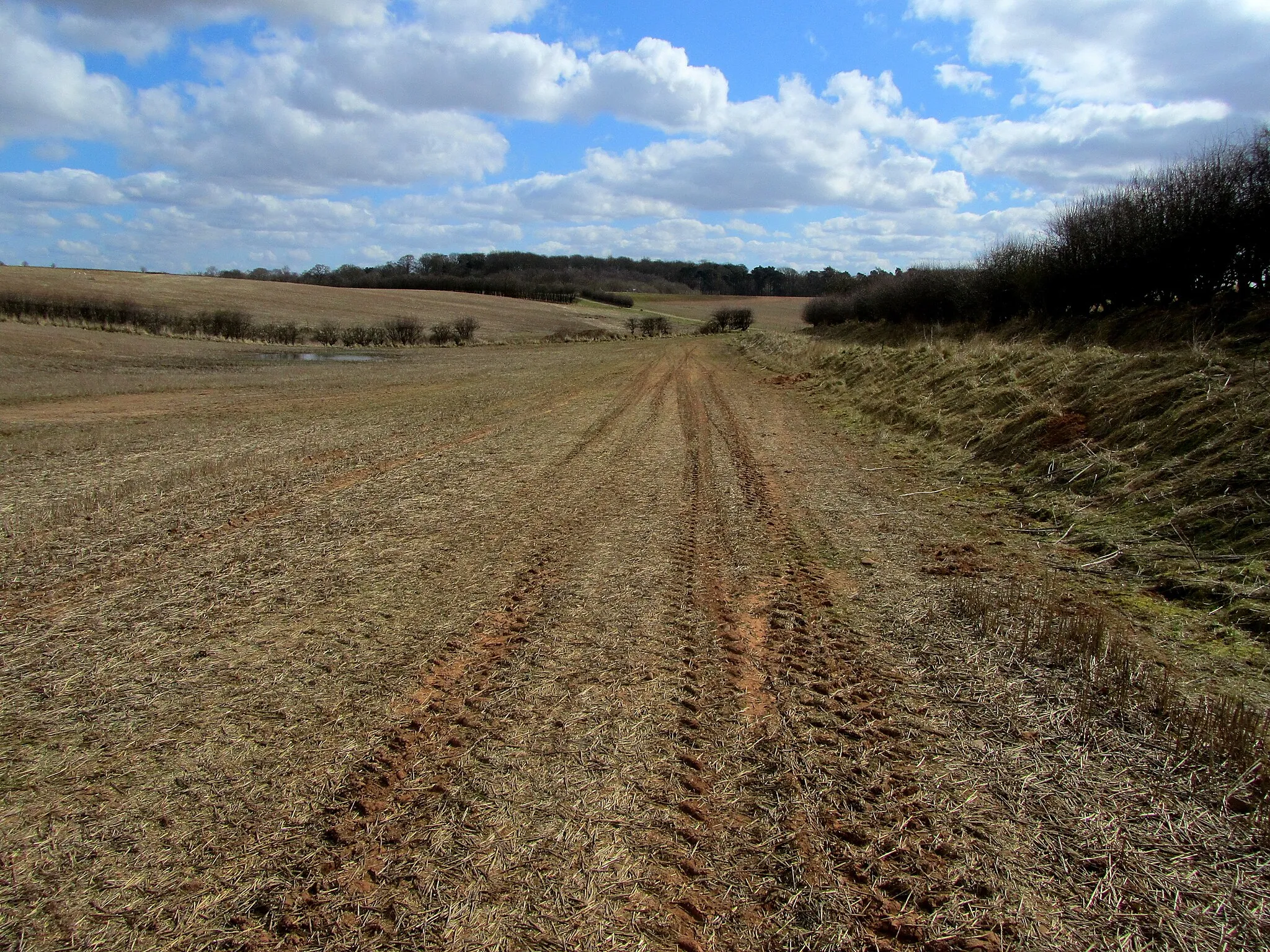 Photo showing: Below Oxforth Hill