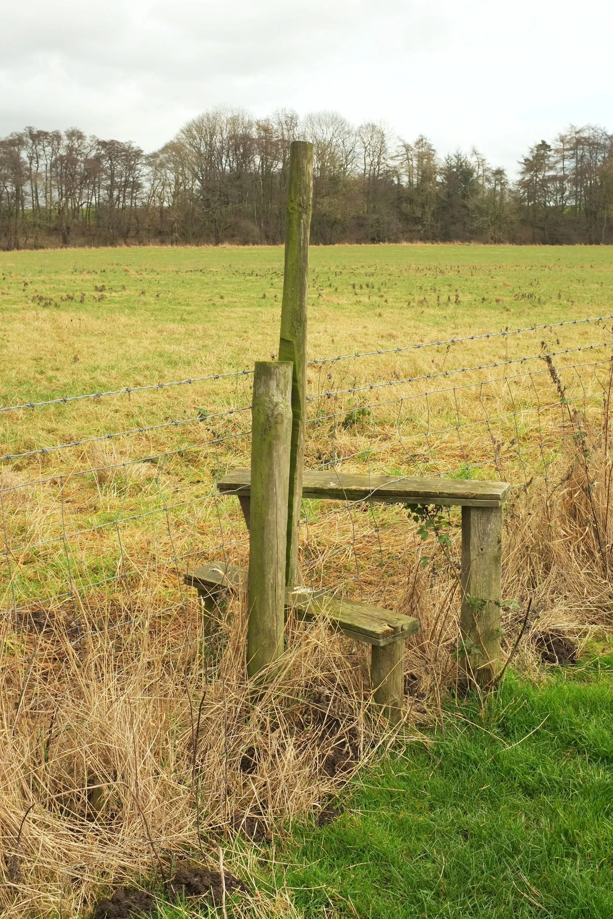 Photo showing: Awkward stile, Holbeck valley
