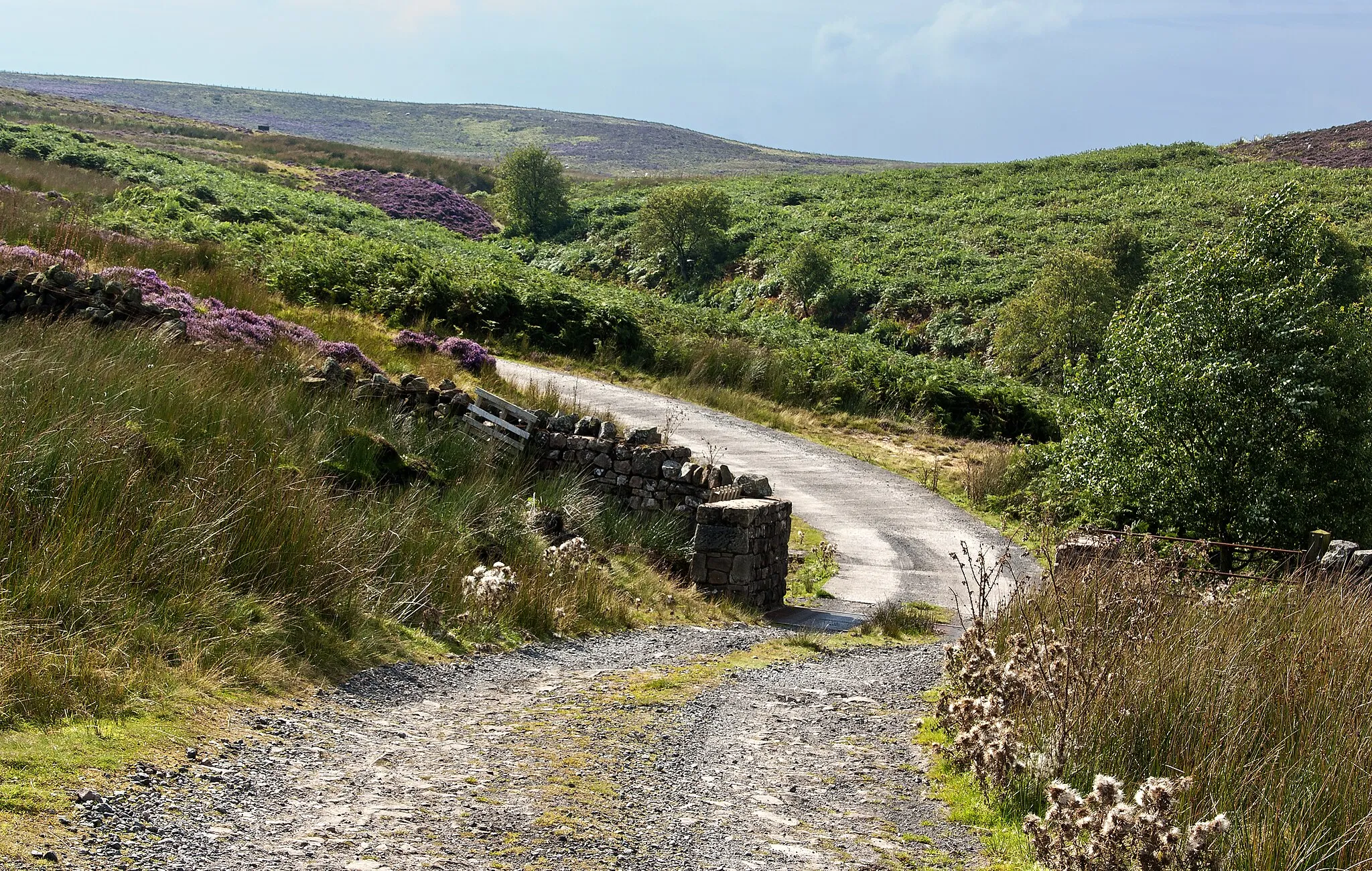 Photo showing: A cattle grid on Stony Hill