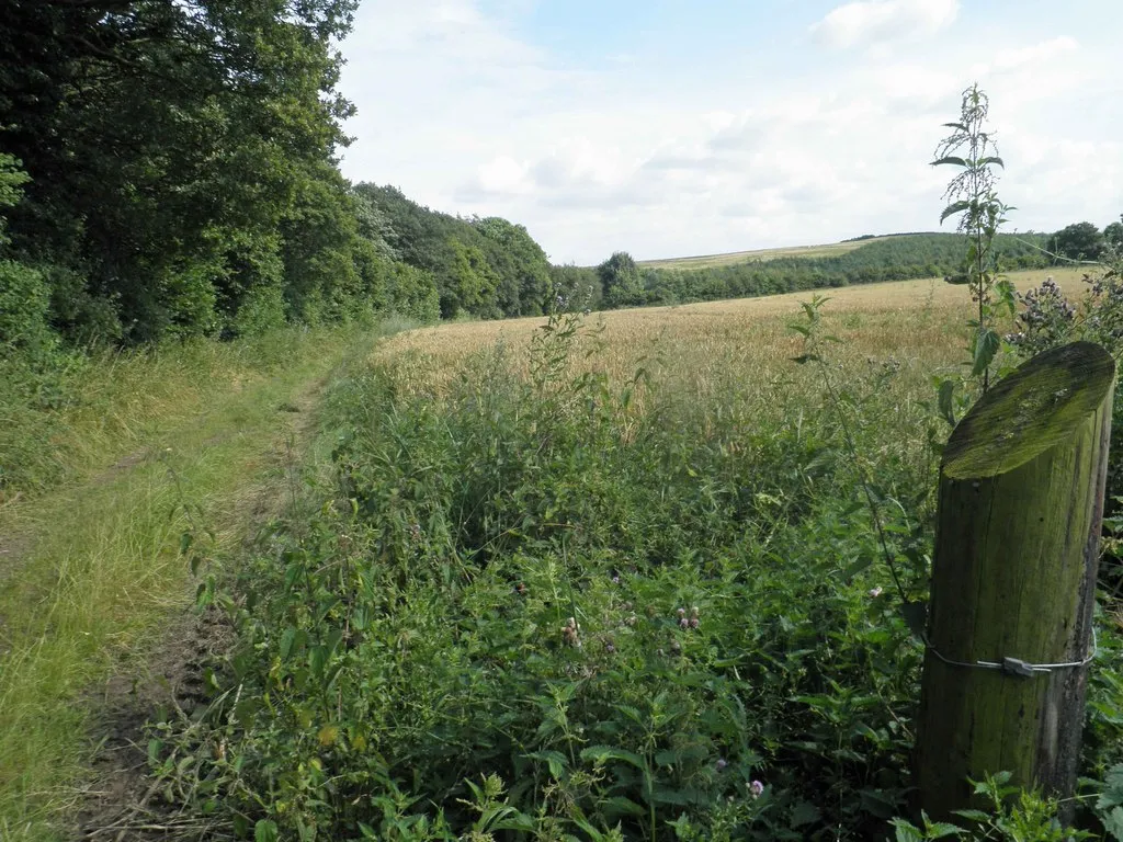 Photo showing: Bridleway alongside Little Park wood