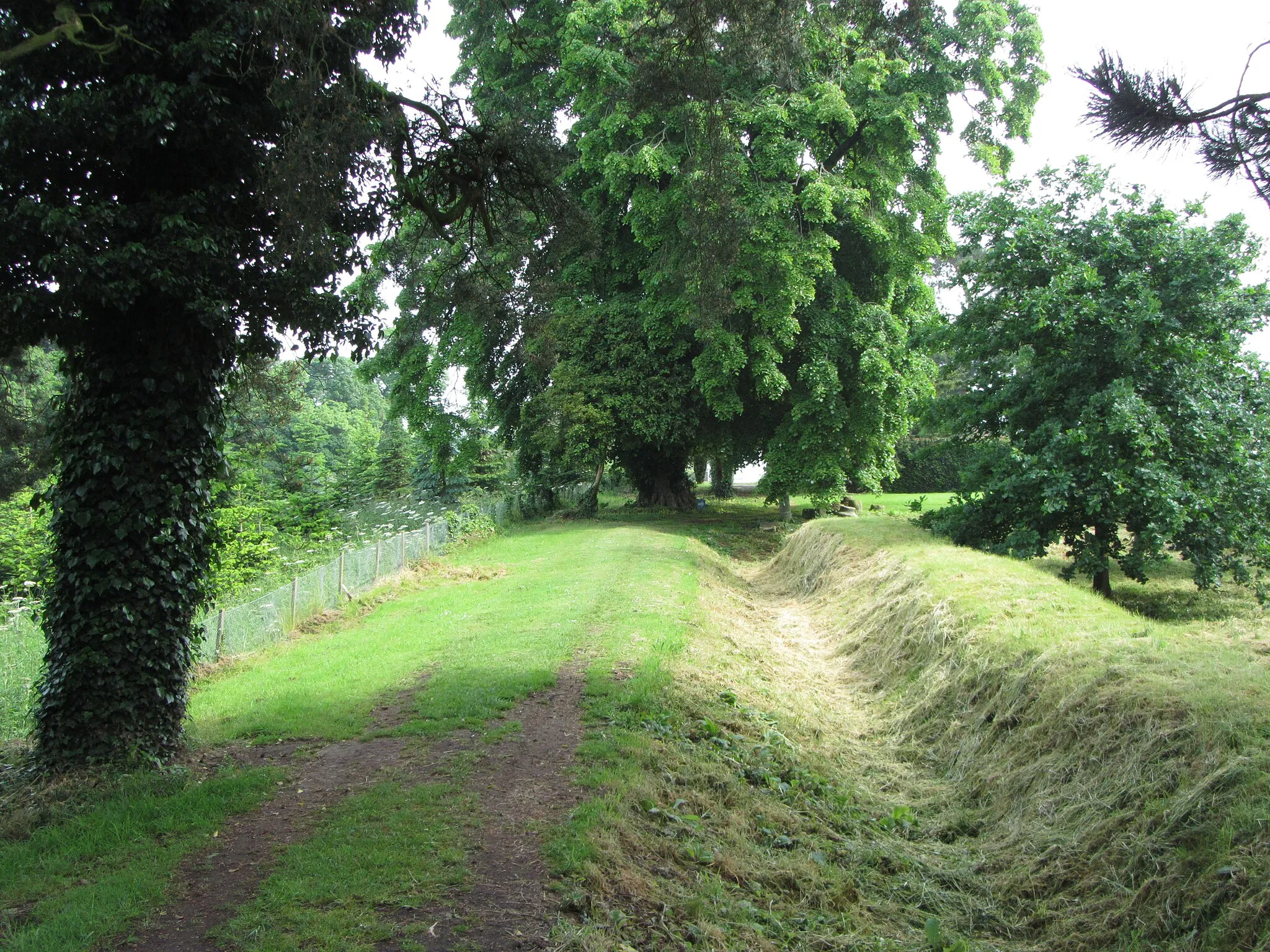 Photo showing: Line of Roman Town Wall