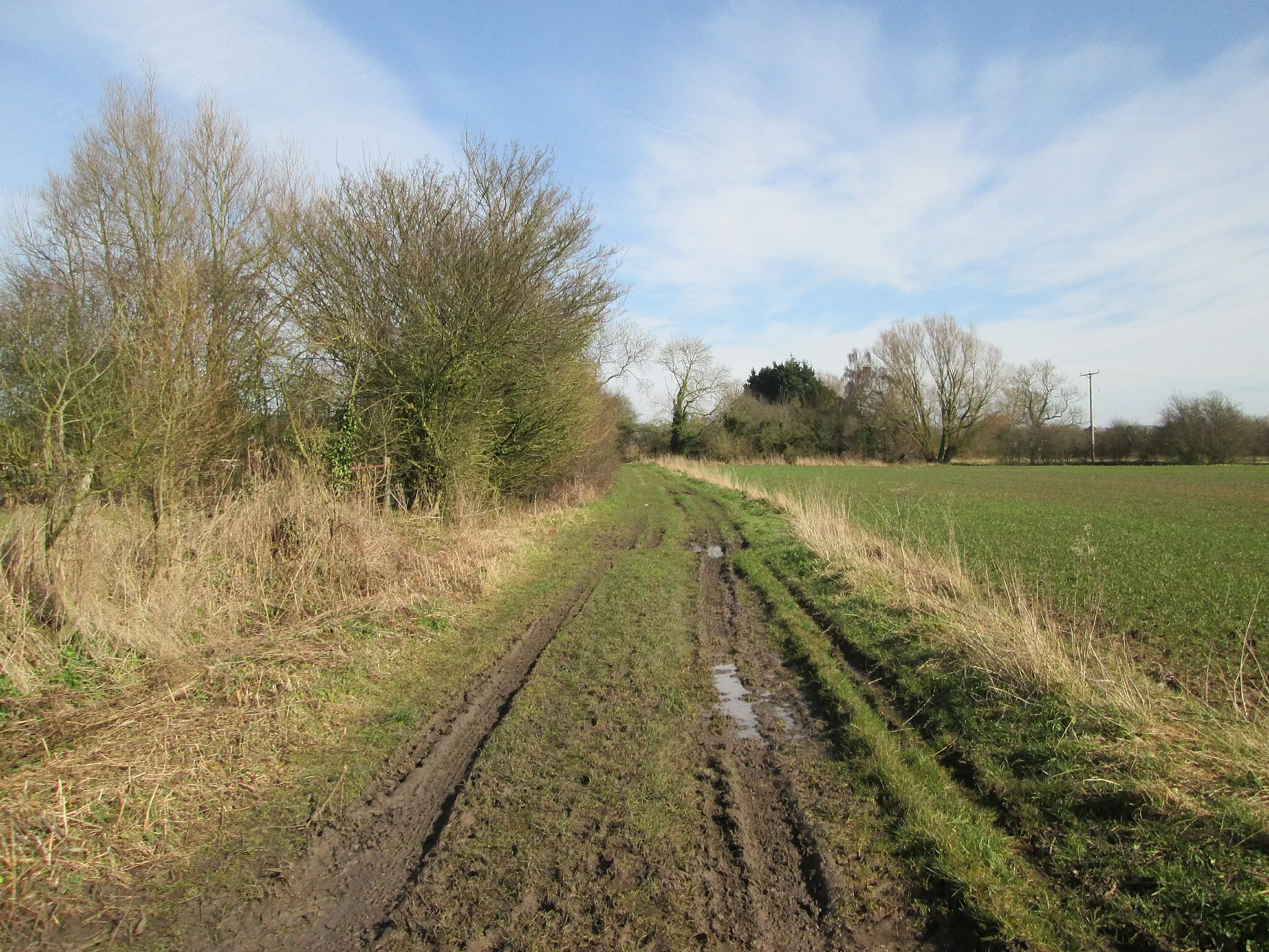 Photo showing: Bramer  Lane  (track)  towards  Spittal