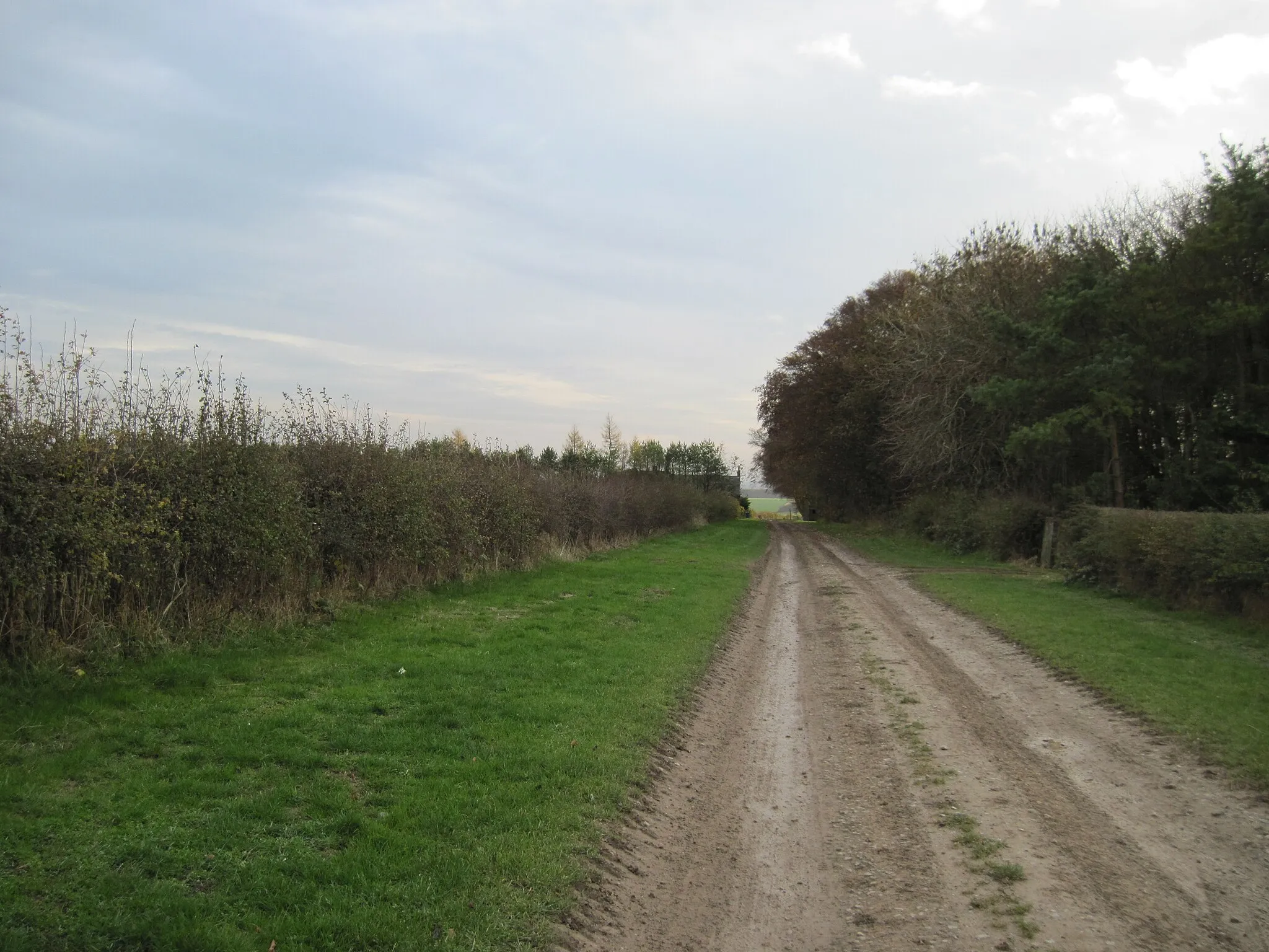 Photo showing: Farm  track  down  to  Cottam  Warren  Farm