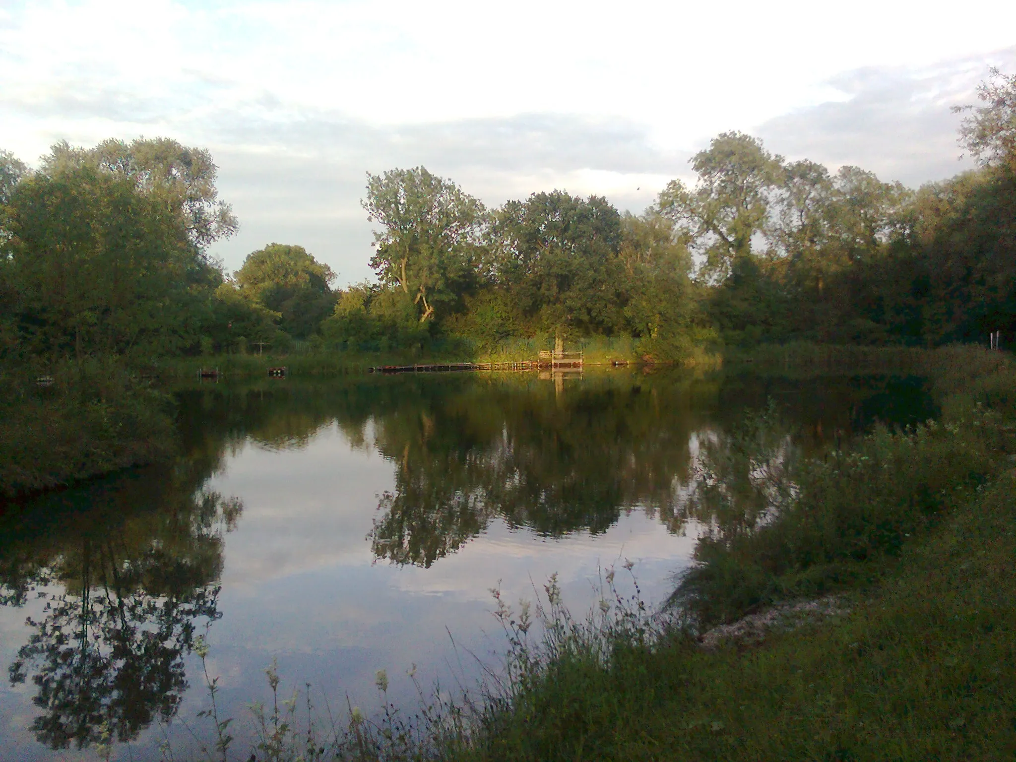 Photo showing: HIllam Pond in evening light