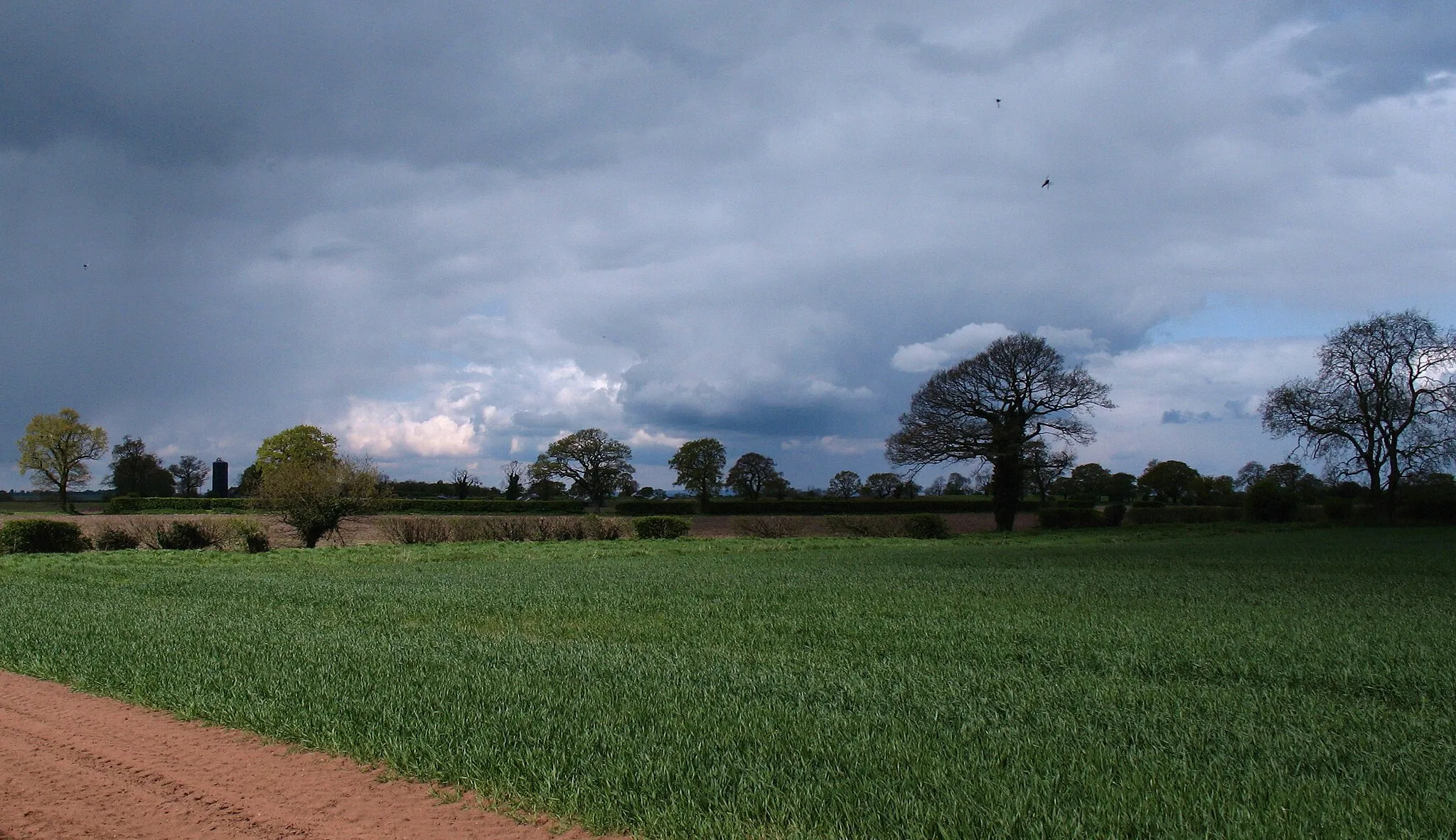 Photo showing: Farmland near Flawith