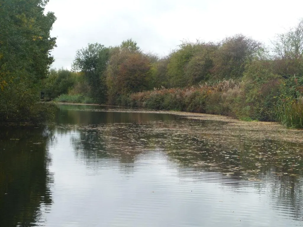 Photo showing: A bend on the Selby Canal