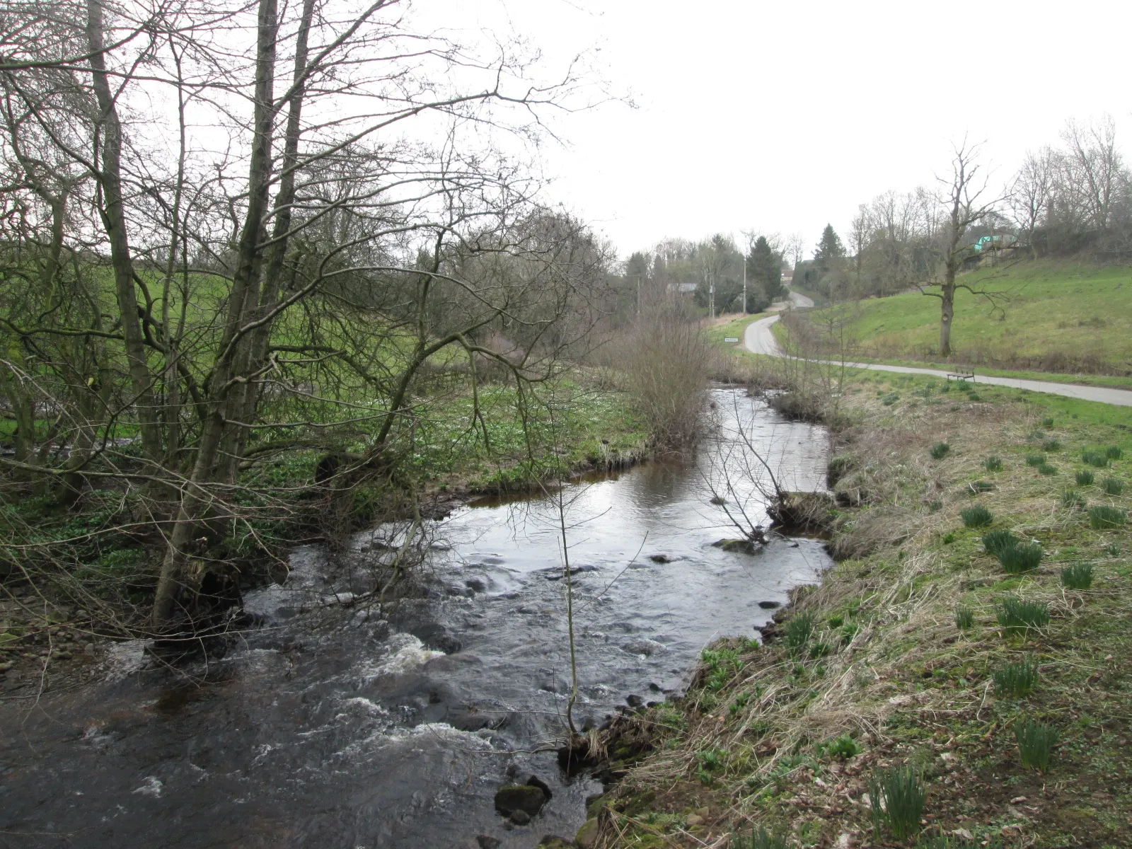Photo showing: River Laver at Winksley