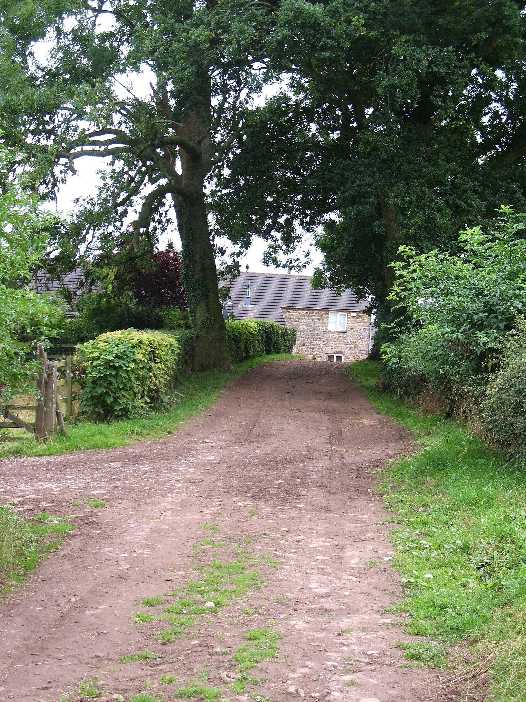 Photo showing: Approaching Owster Hill Farm