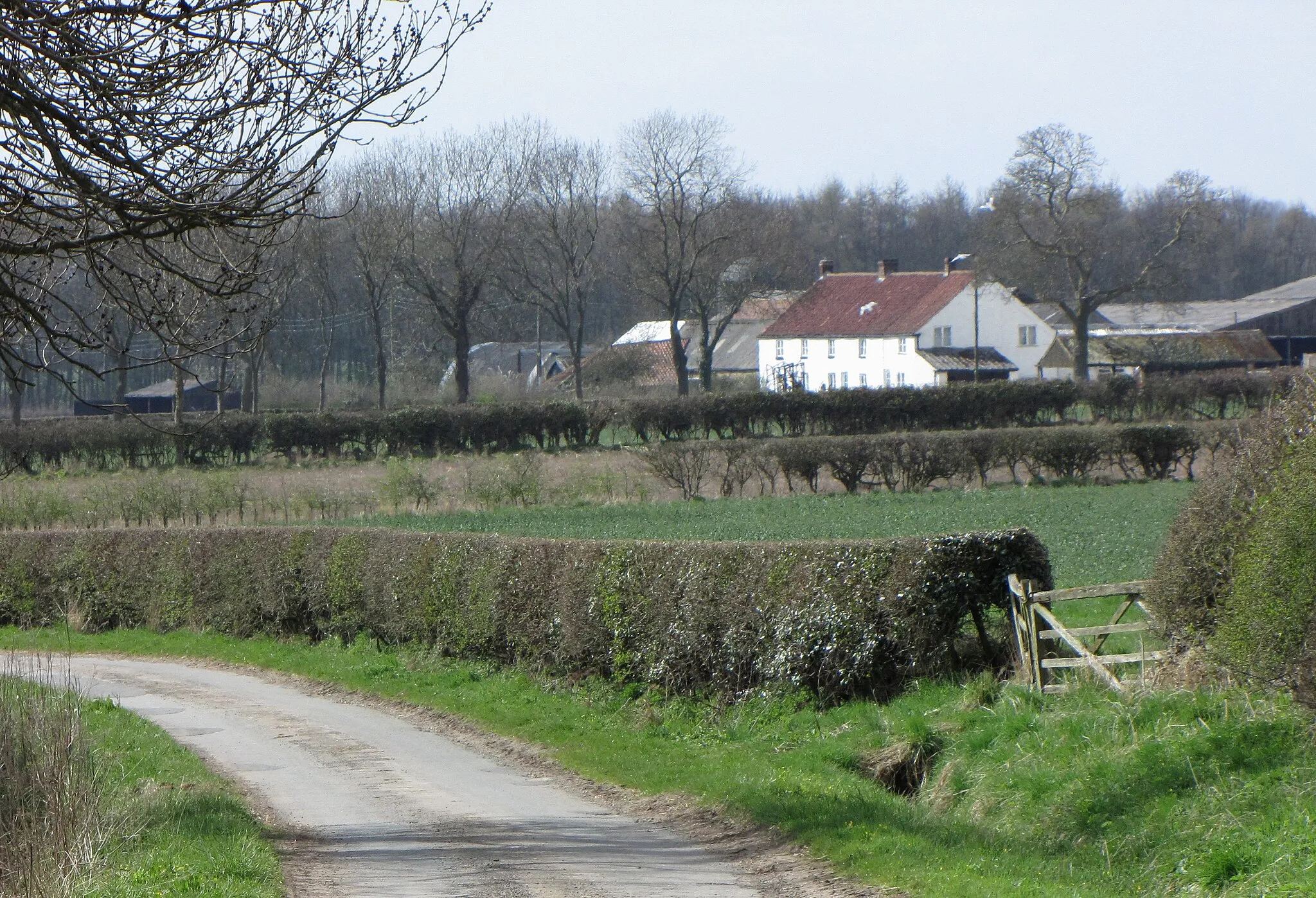 Photo showing: Knayton Grange Approaching along Mill Gate
