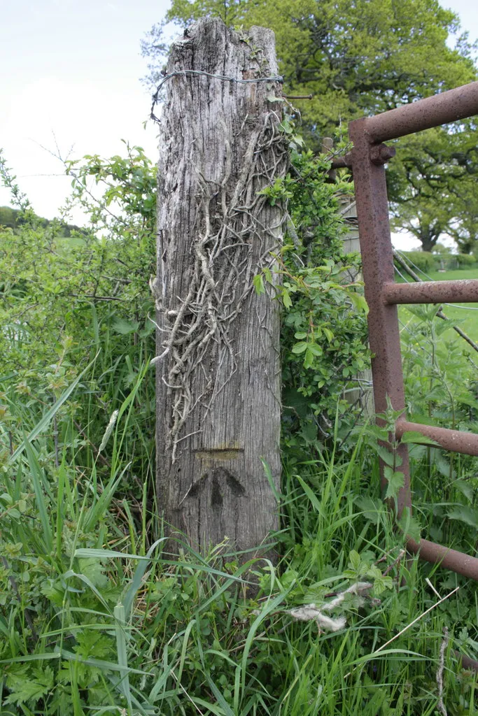 Photo showing: Benchmarked wooden gatepost on Bramper Lane