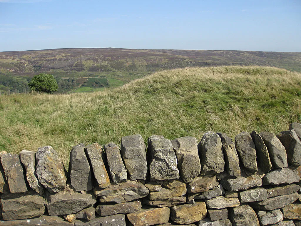 Photo showing: Dry stone wall, Blakey Ridge