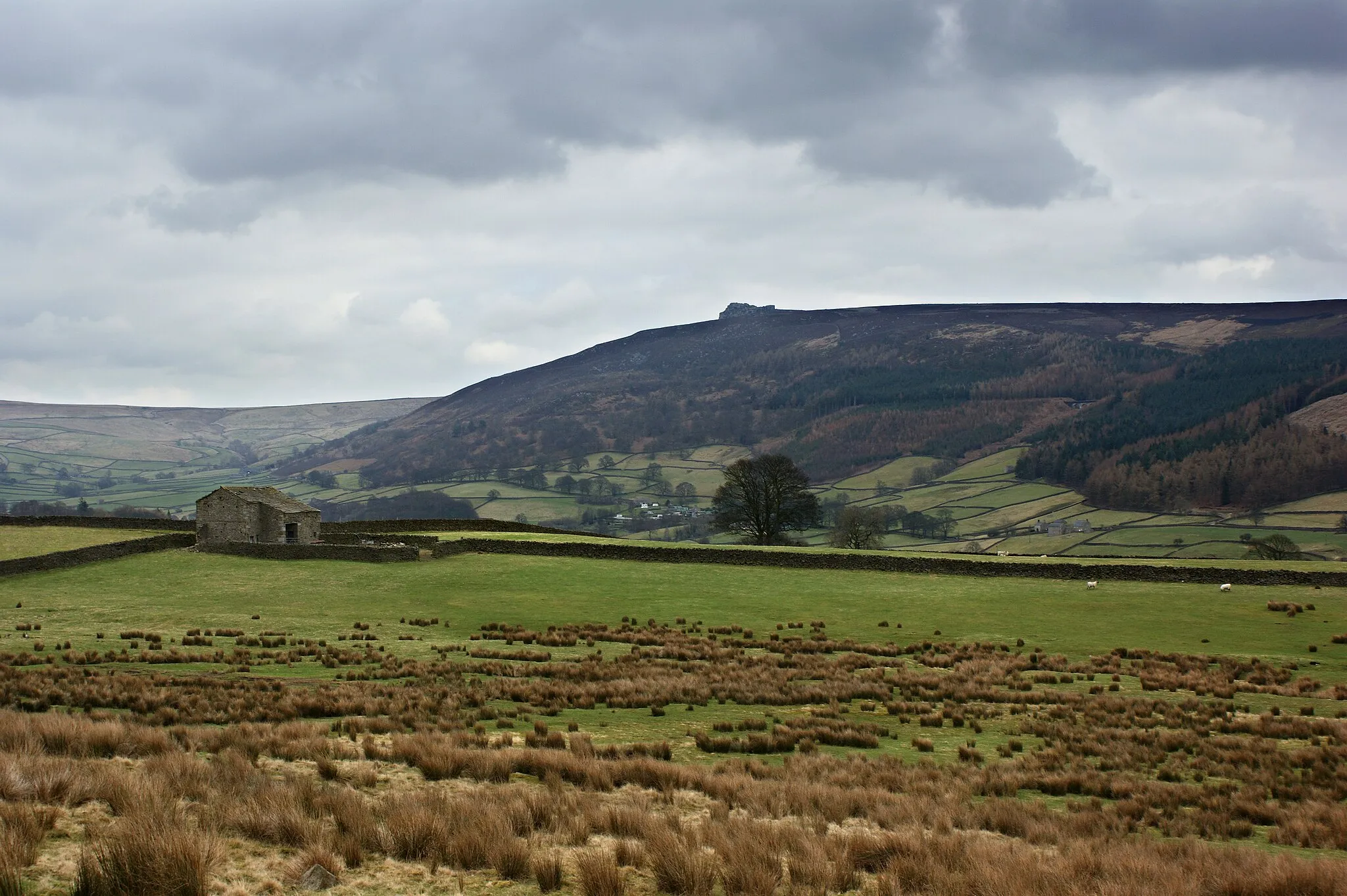 Photo showing: An old barn at High Laithe with Simon's Seat beyond