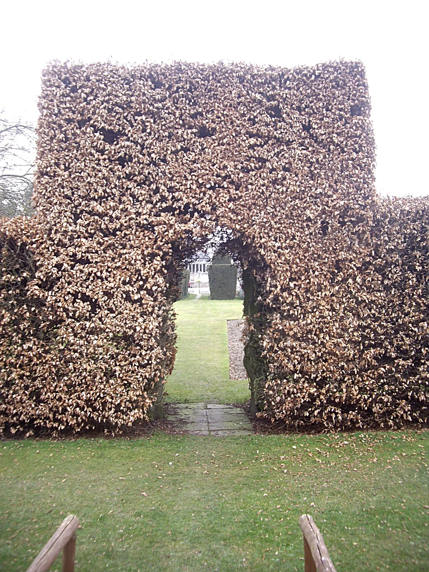 Photo showing: Beech Hedge arch