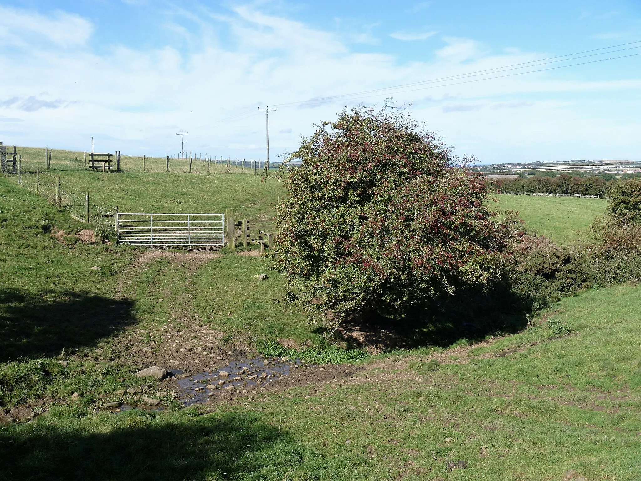 Photo showing: Across the stream