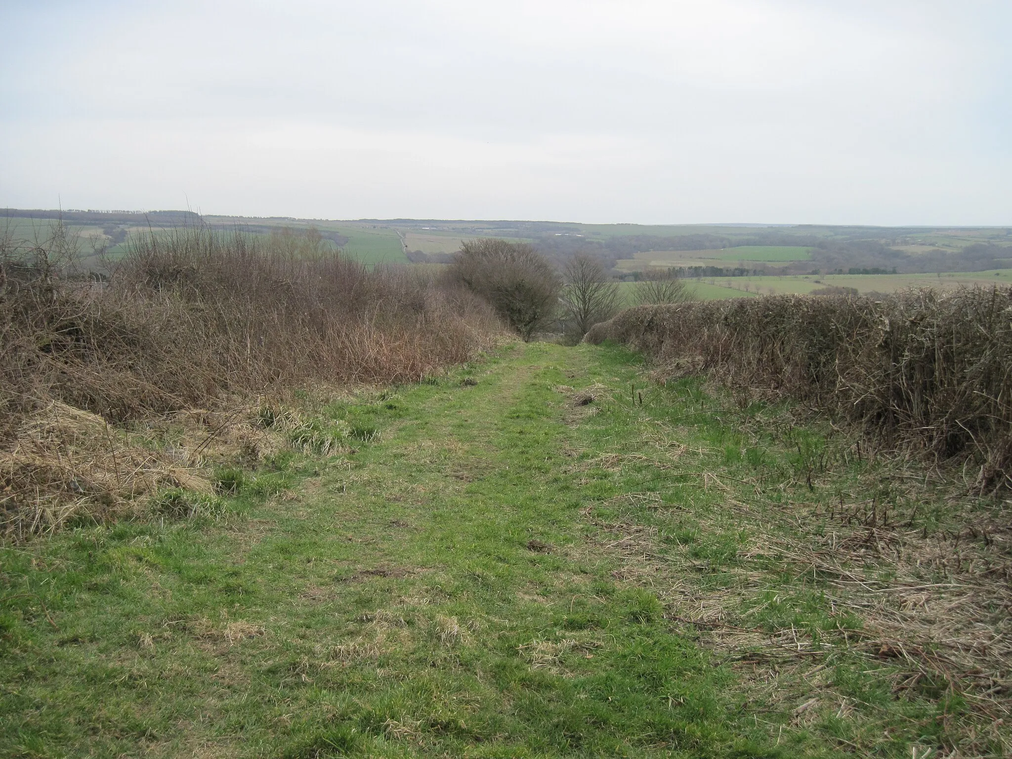 Photo showing: Bridleway  East  Barnby