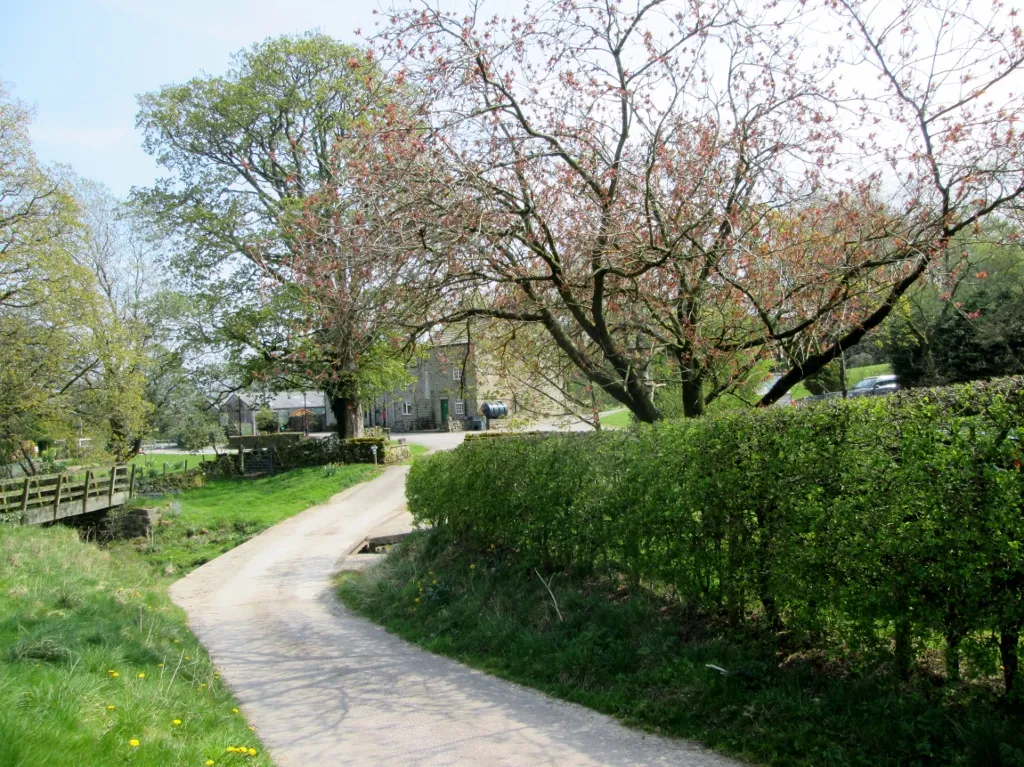 Photo showing: Access  road  to  Low  Wood