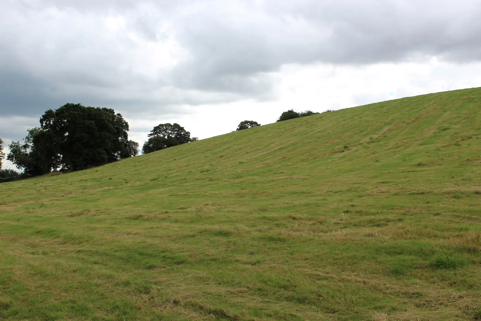 Photo showing: Northern Flank of Wildon Hill
