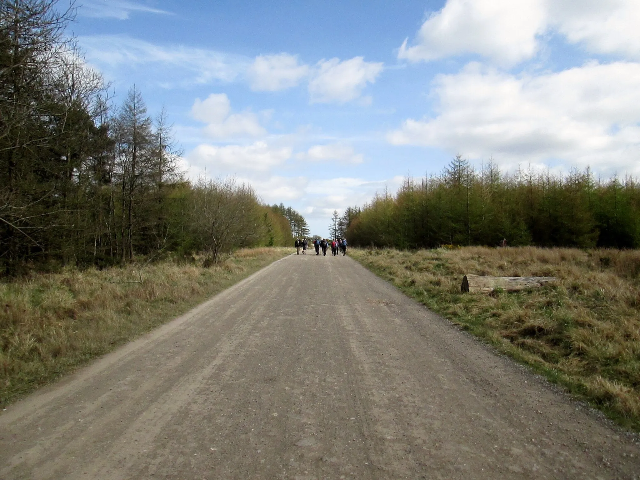 Photo showing: A  long  straight  on  Brown  Howe  Road