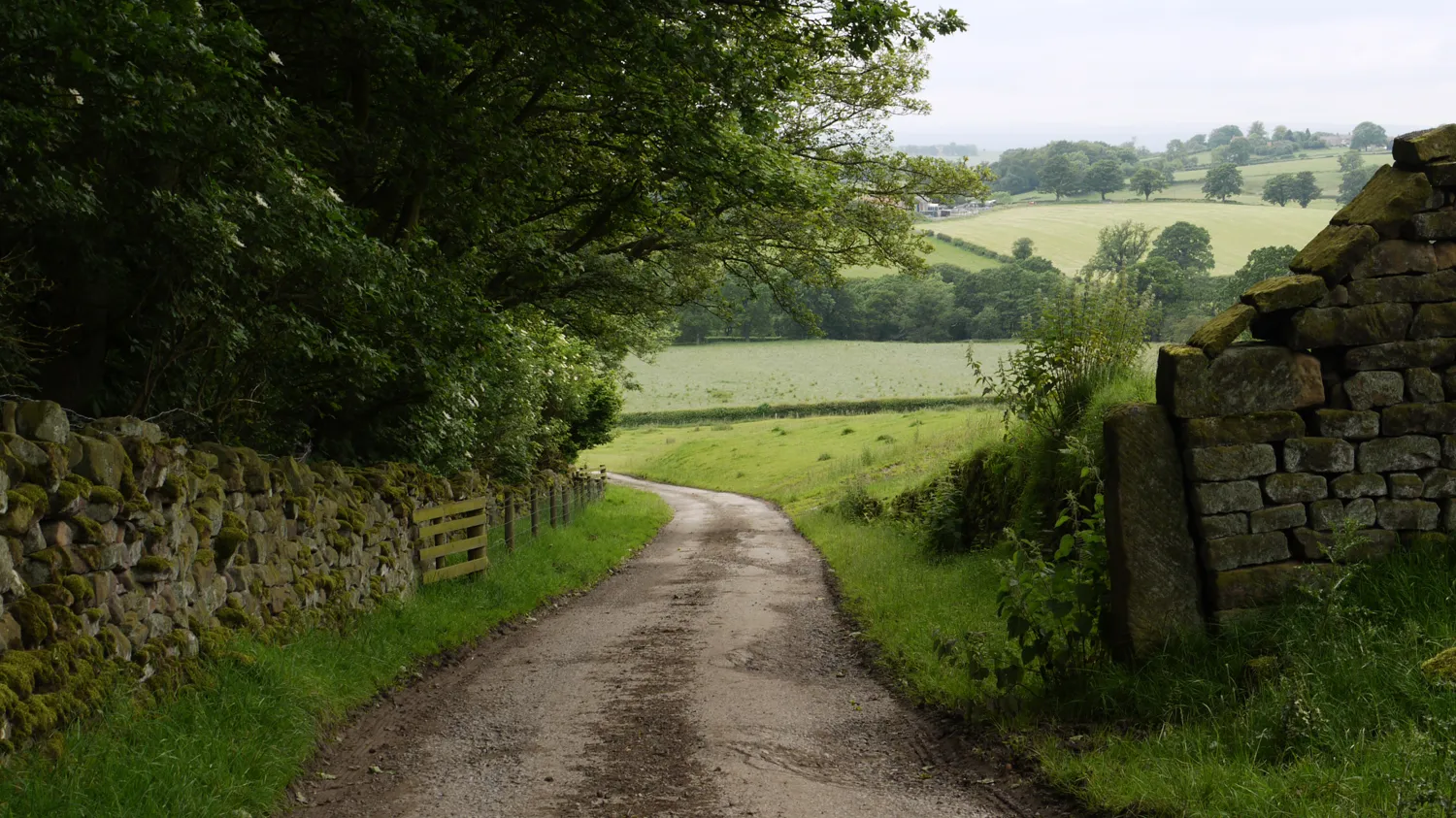 Photo showing: Road descending from Nab Farm