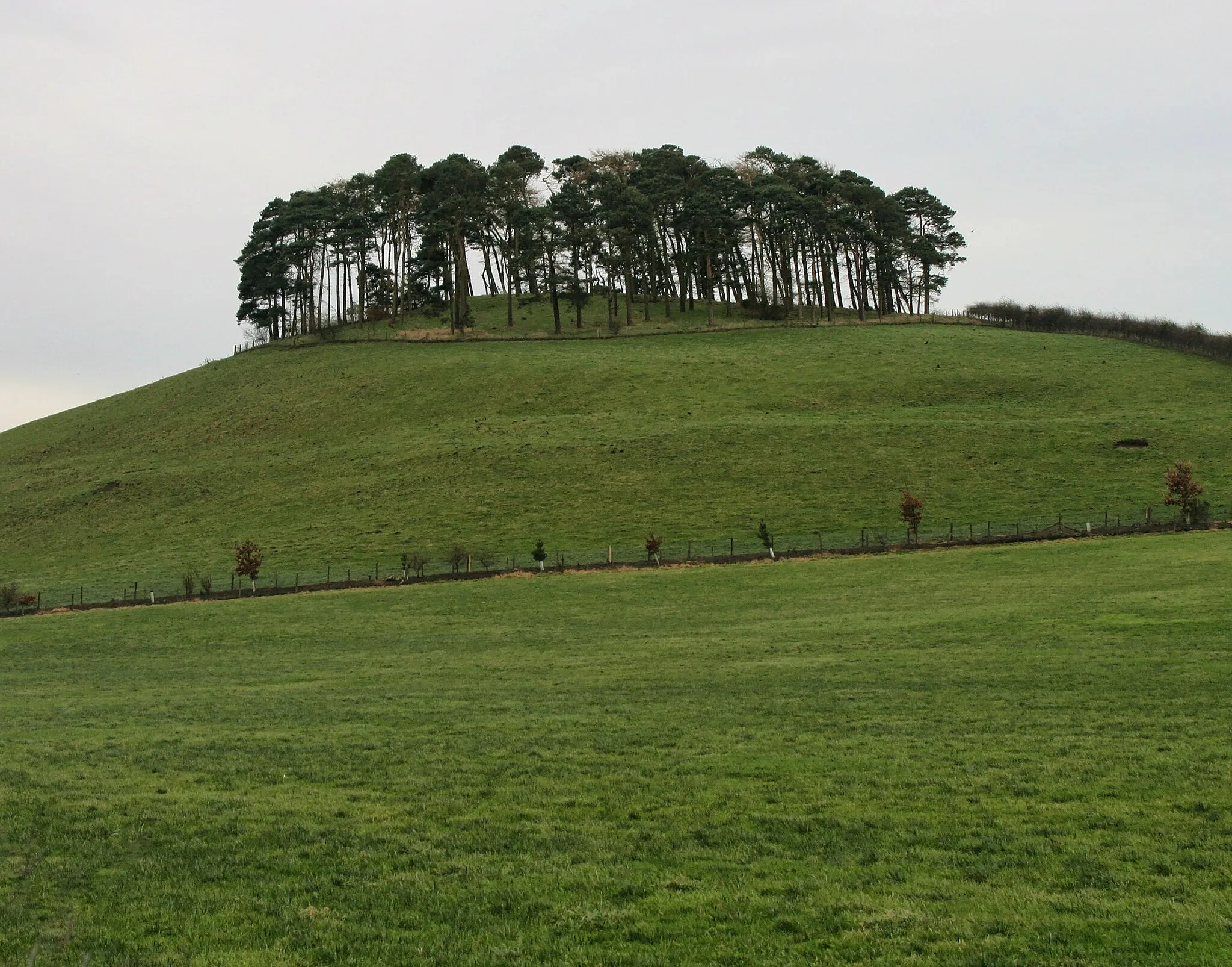 Photo showing: Hill Plantation