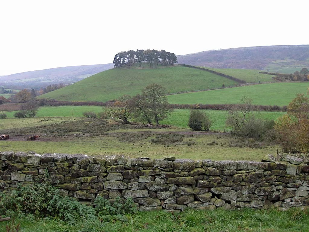 Photo showing: View to Hill Plantation, Rosedale