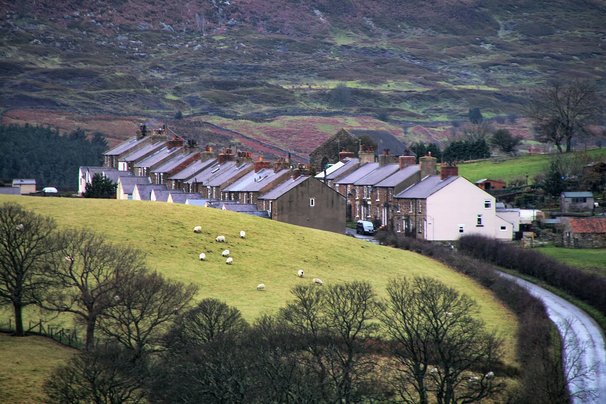 Photo showing: Hill Cottages