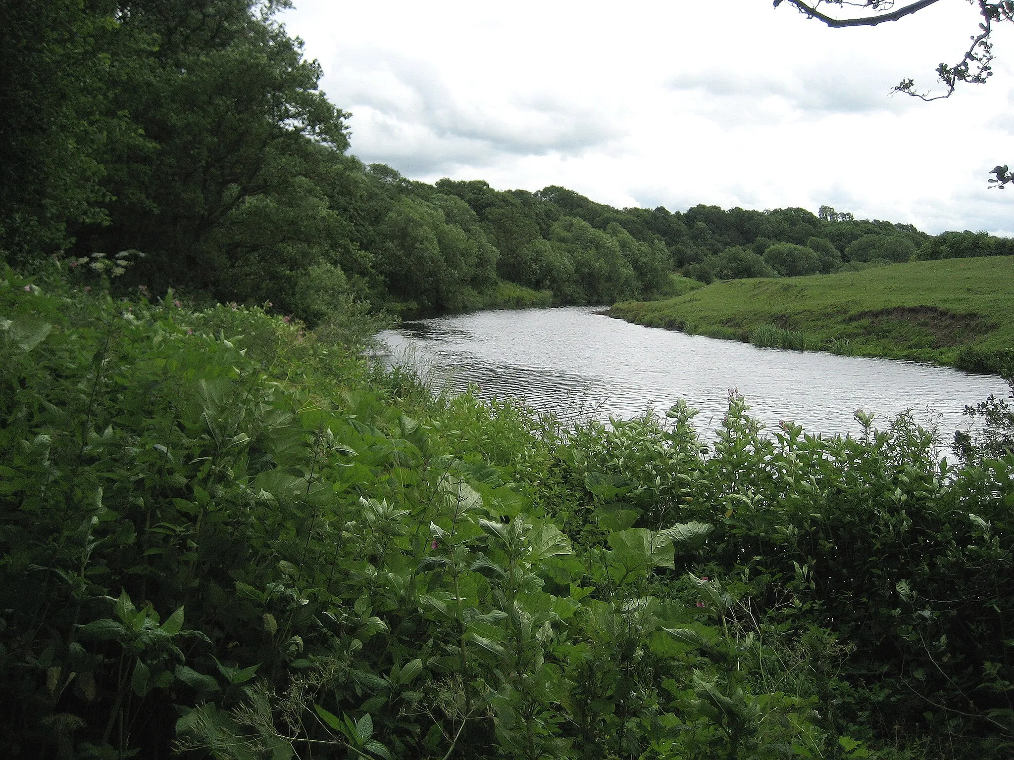 Photo showing: Apex of a Tees Meander