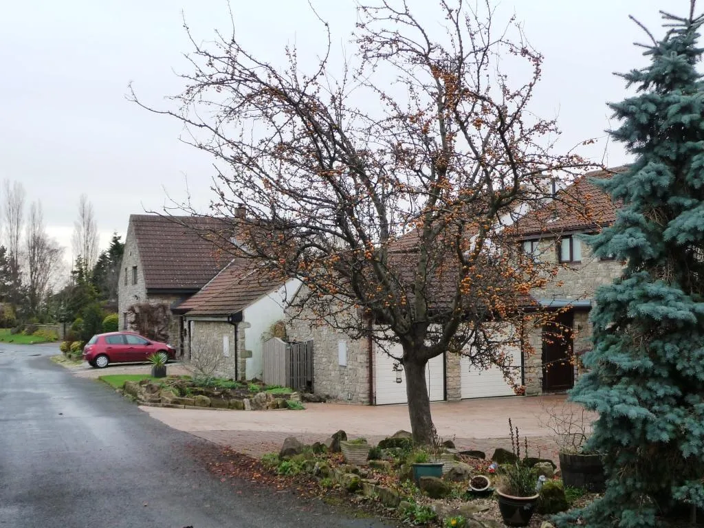 Photo showing: A splash of orange, Lumby