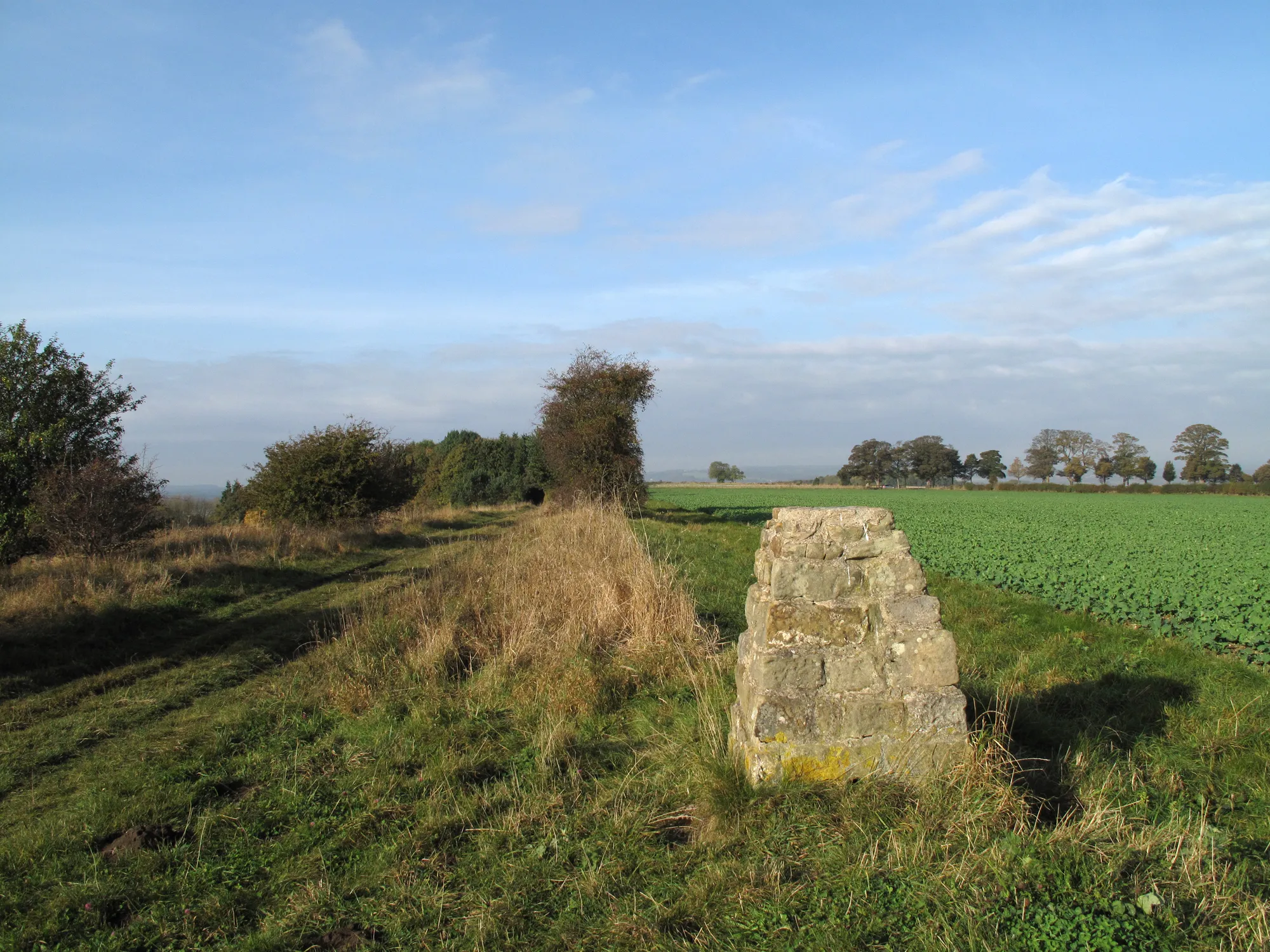 Photo showing: Bridleway passing trig point on Caulkleys Bank