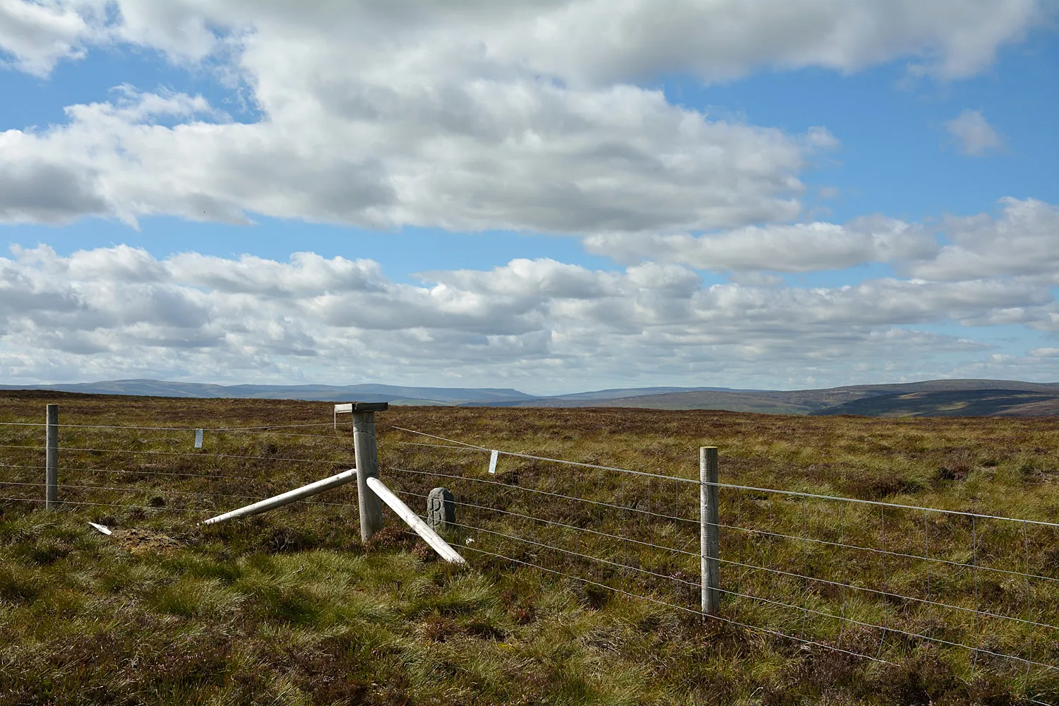 Photo showing: Summit area of High Carl