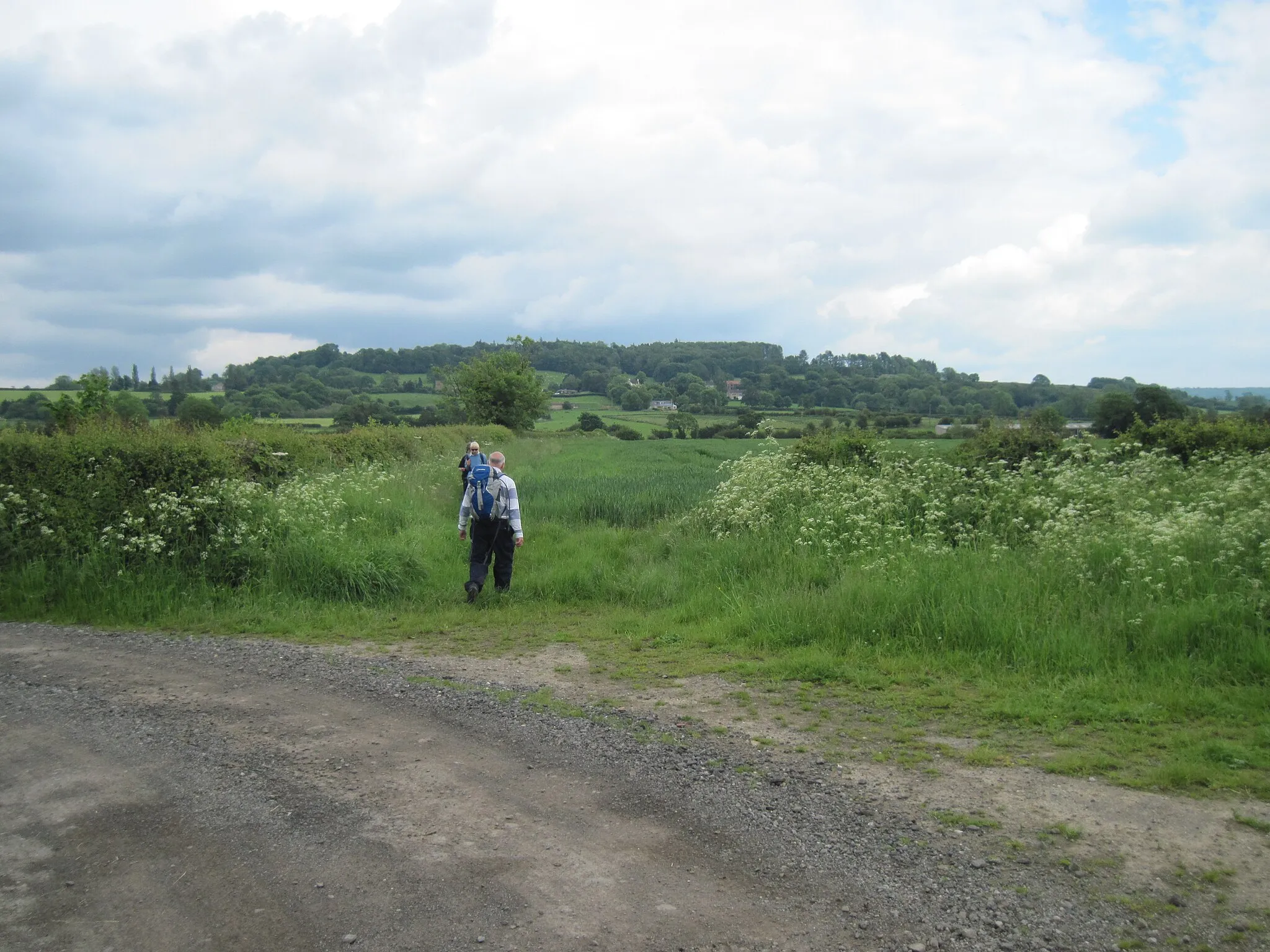 Photo showing: Bridleway  to  Felixkirk