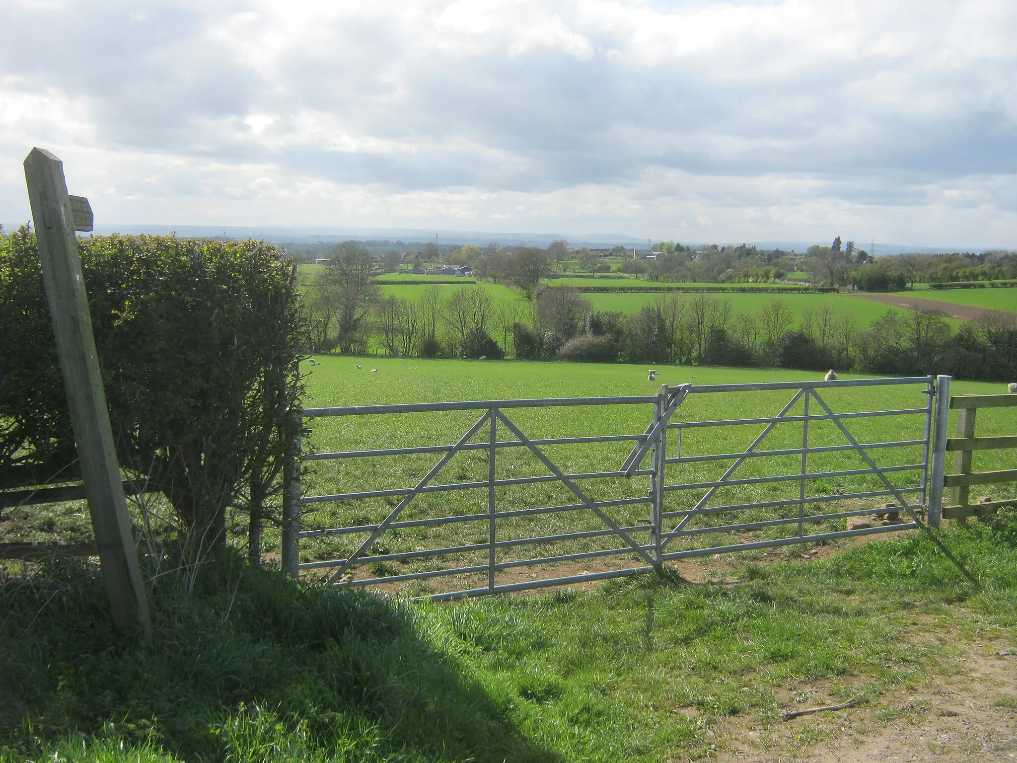 Photo showing: Field gate to access footpath to Fanny Lane in Knayton