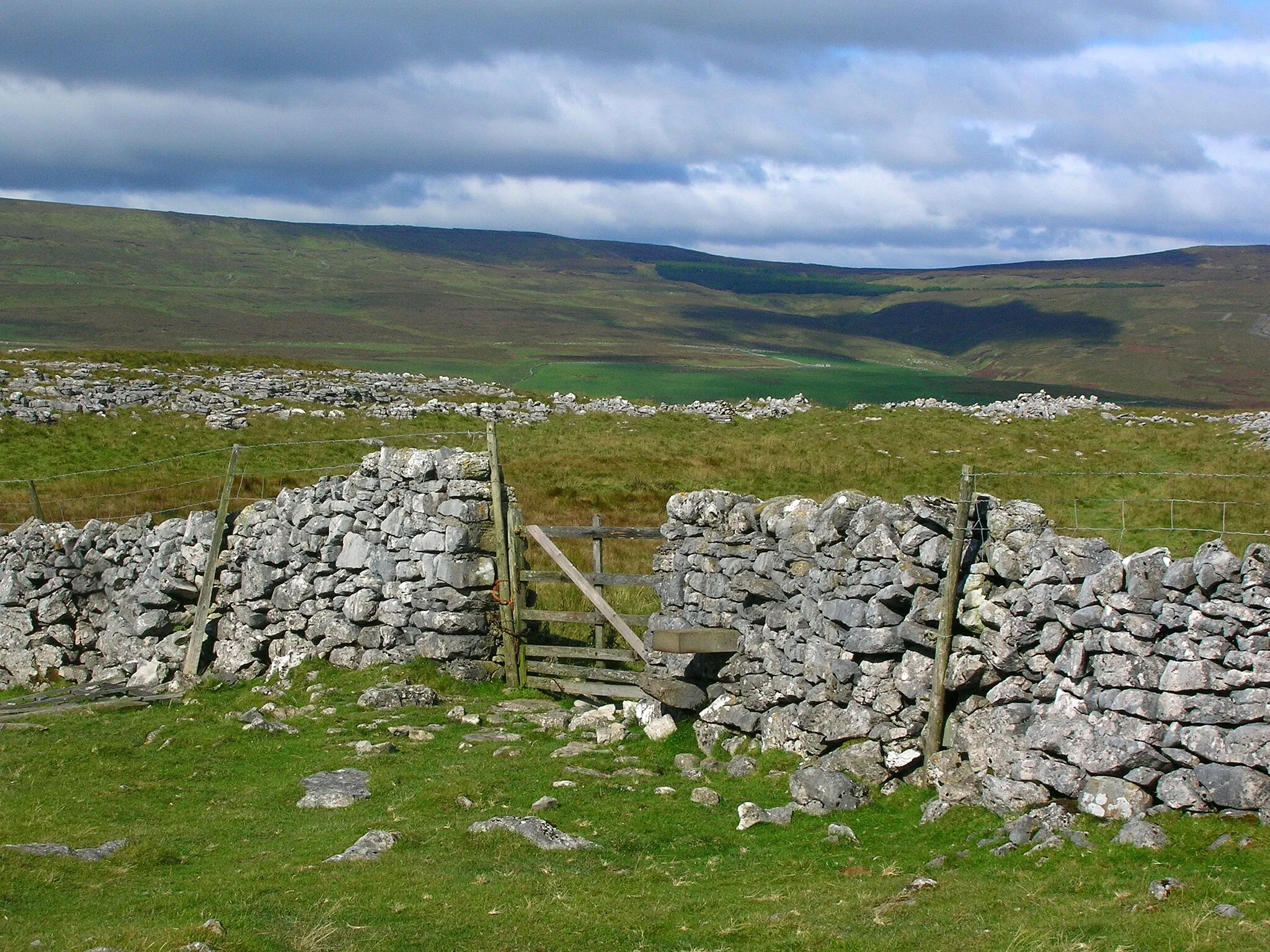 Photo showing: Moorland wall and gate