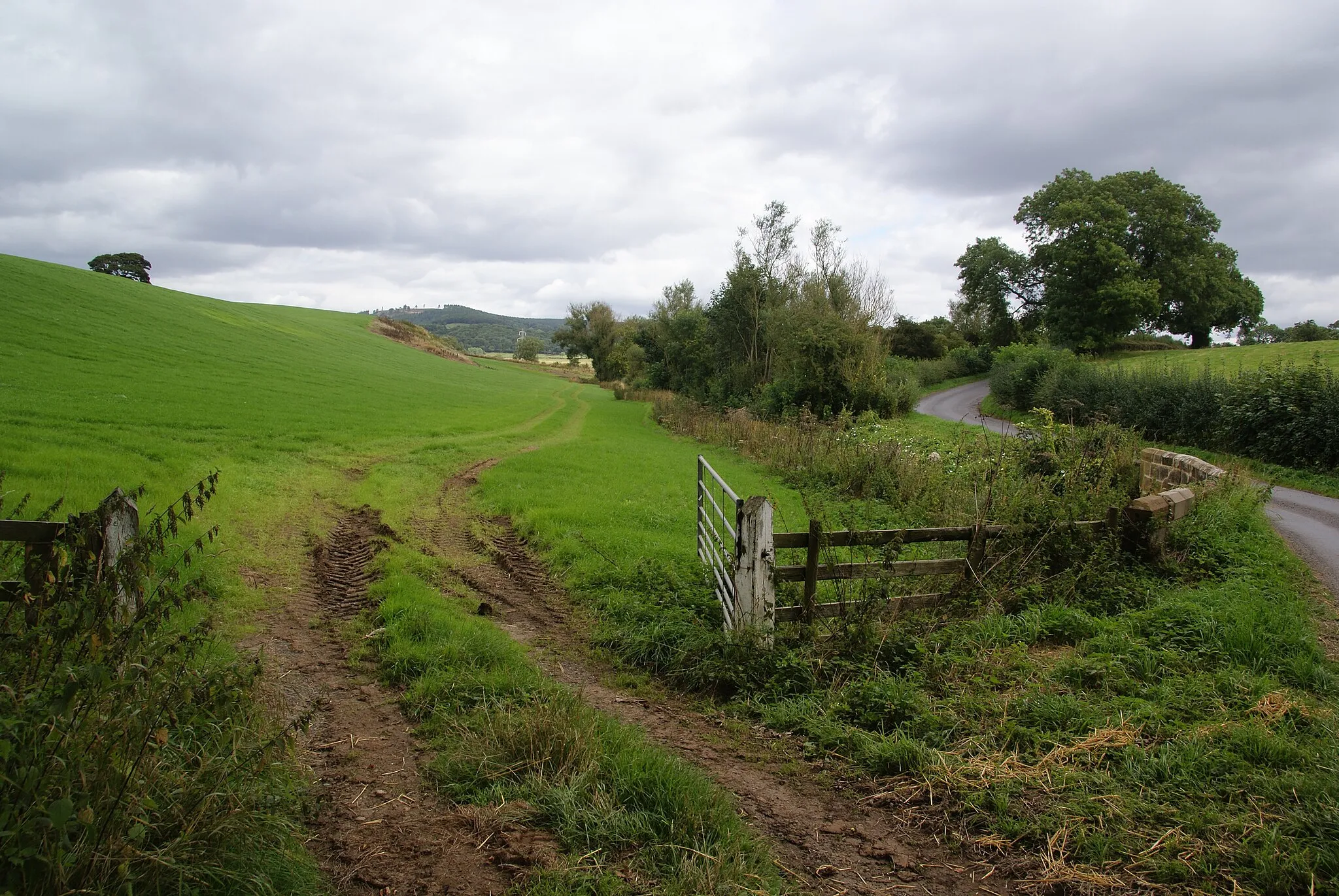 Photo showing: Farmland by Stell Bank Bridge