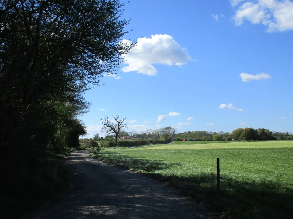 Photo showing: Bridleway to South Holme