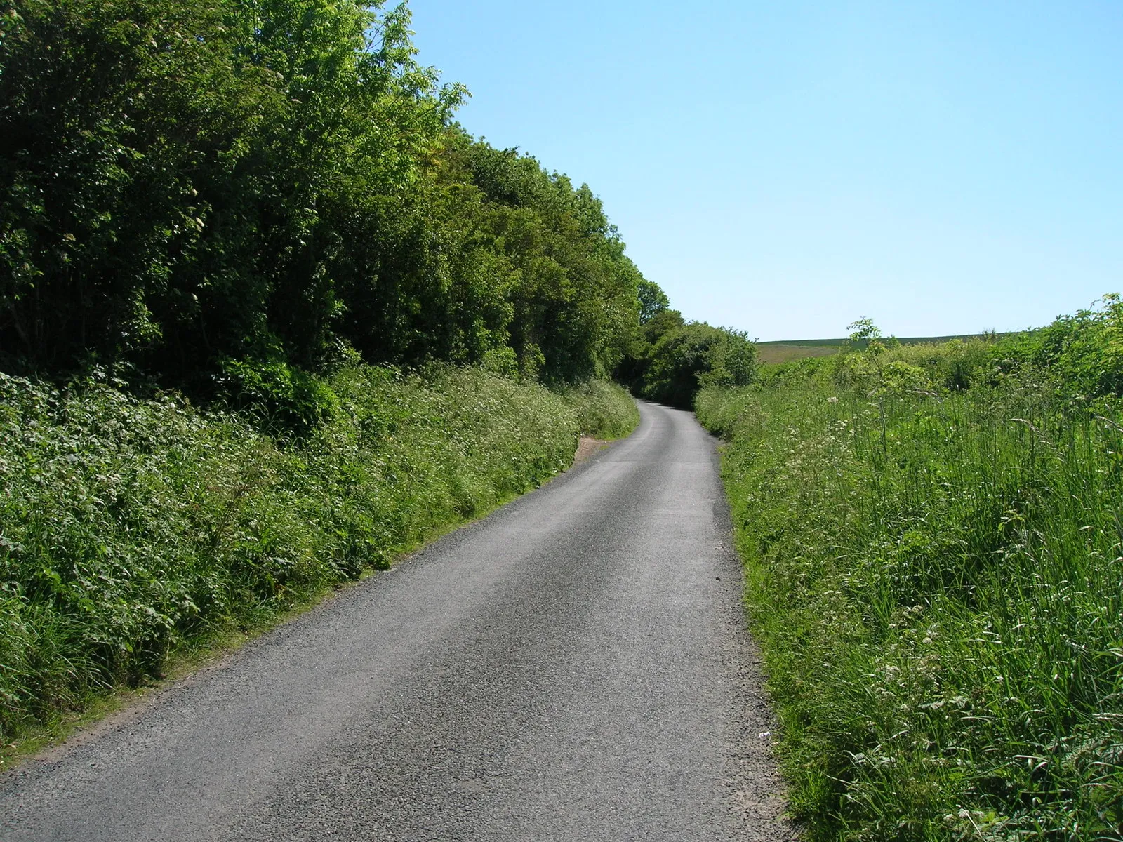 Photo showing: Amotherby Lane heading south