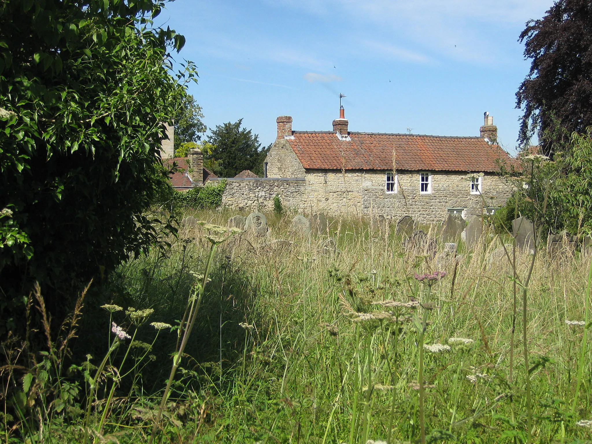 Photo showing: Wildlife areas in the churchyard