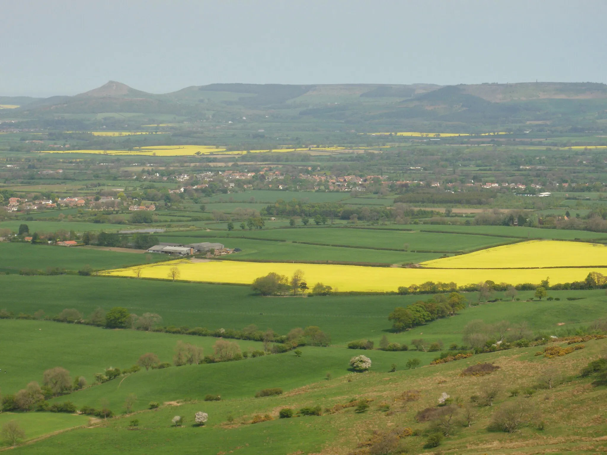 Photo showing: View across Busby Moor to Roseberry Topping