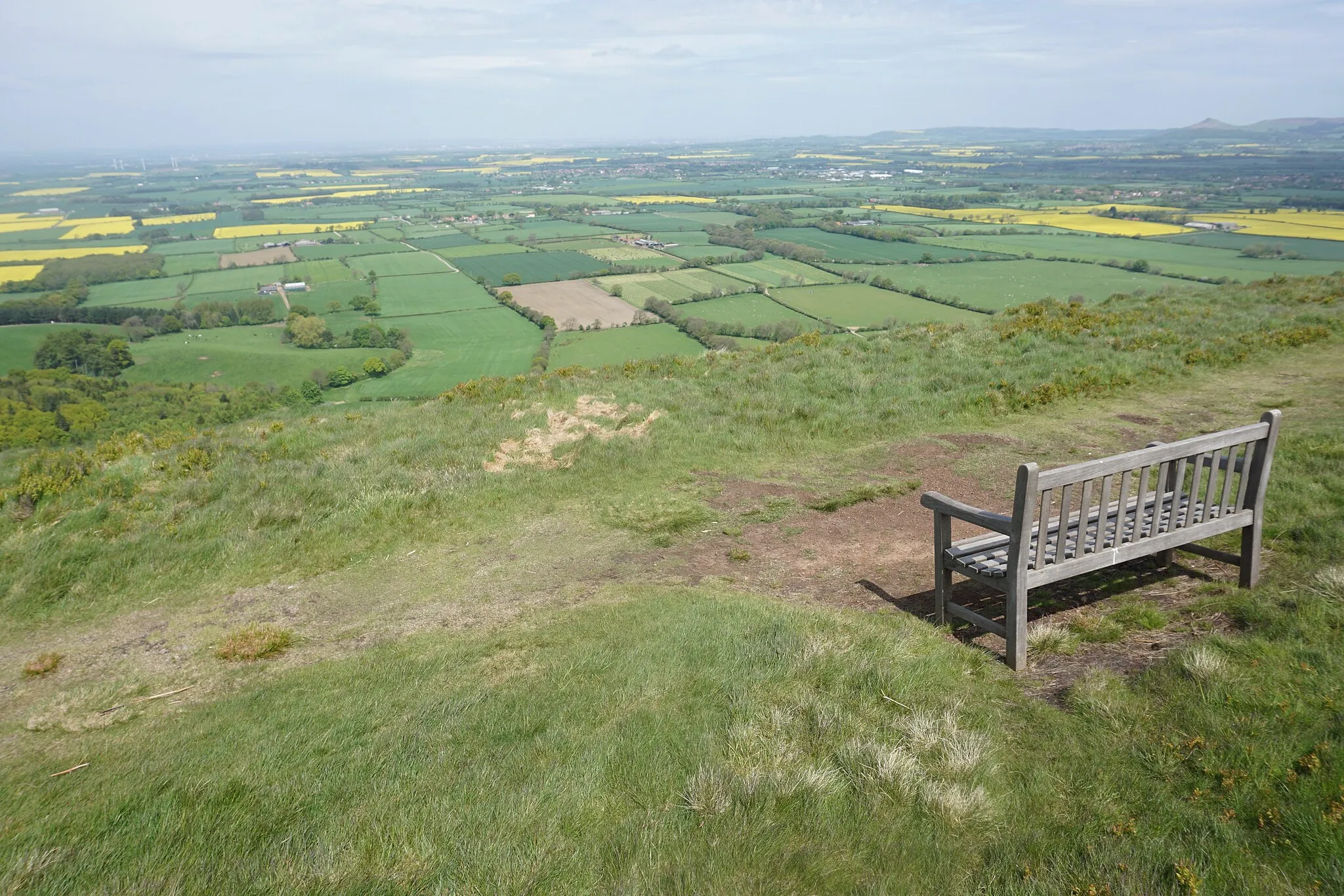 Photo showing: A bench on Green Bank