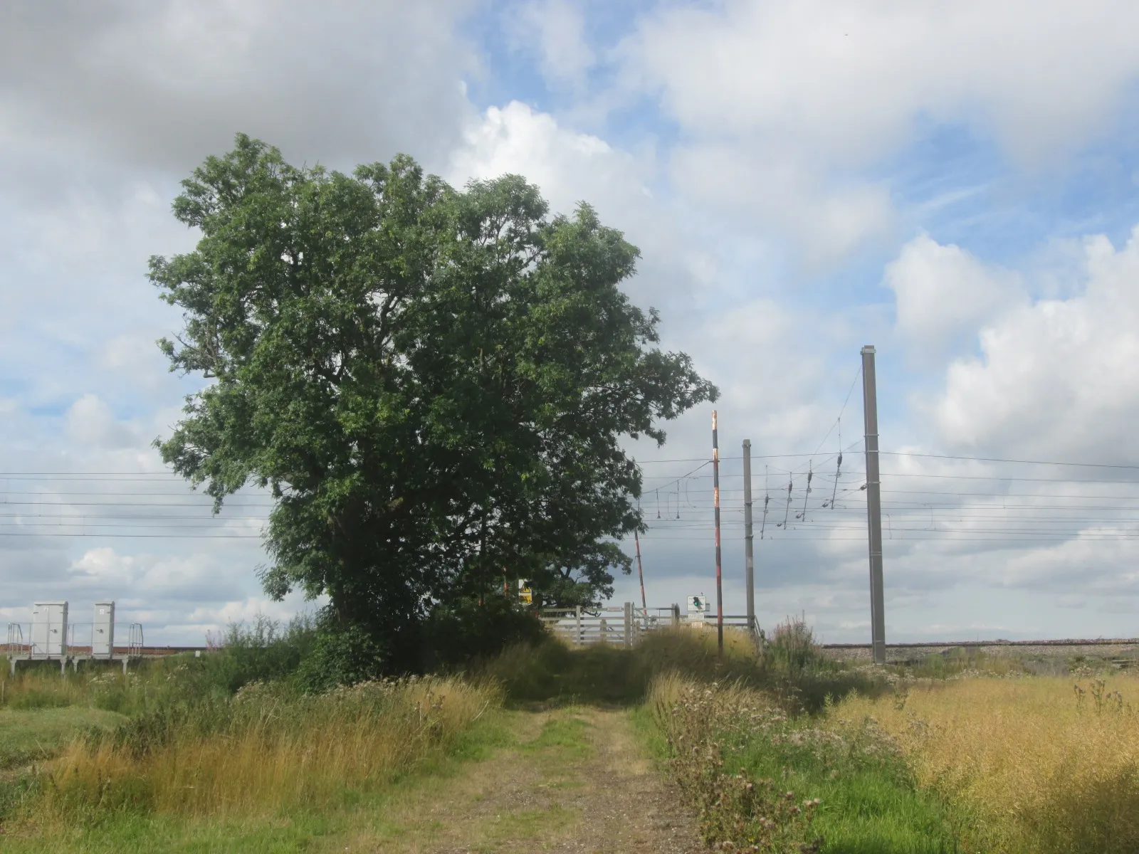 Photo showing: Bridleway level crossing west of Thornton House