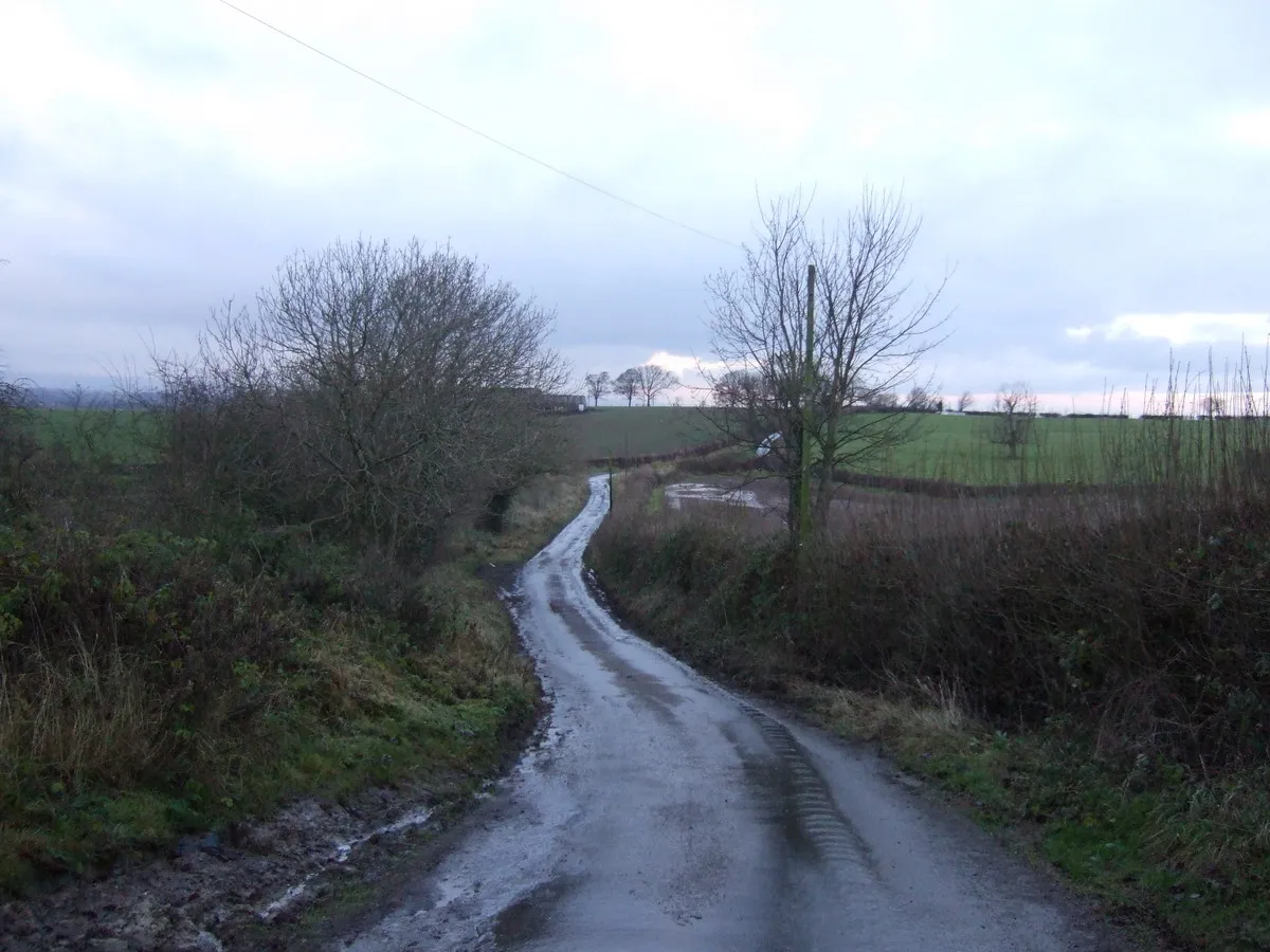 Photo showing: Banks Road towards Brompton