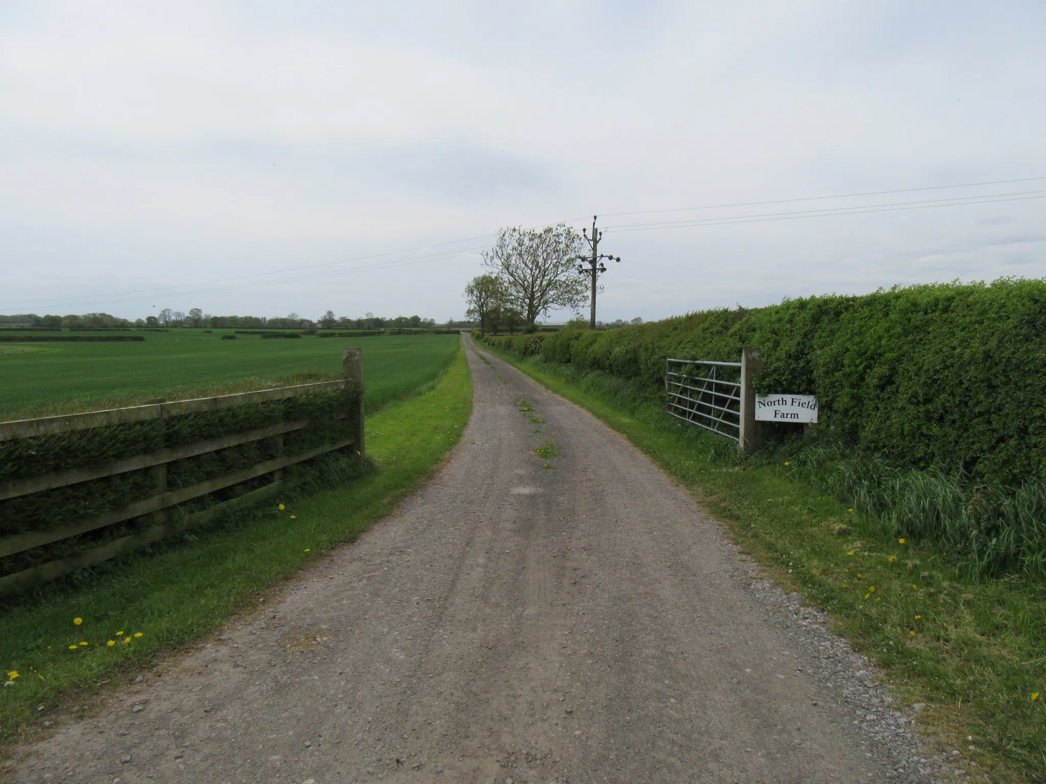 Photo showing: Access road